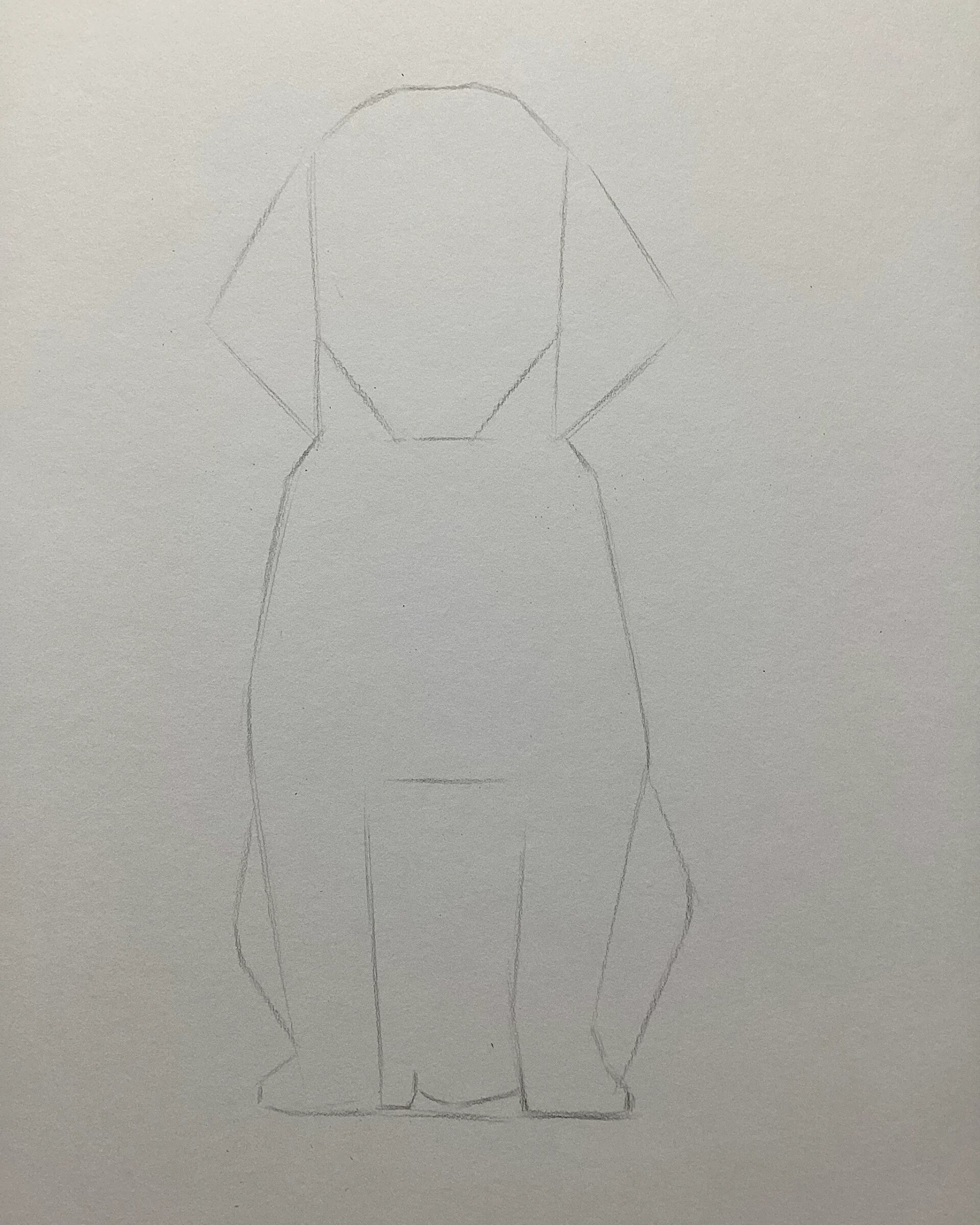 素描小金毛狗过程图