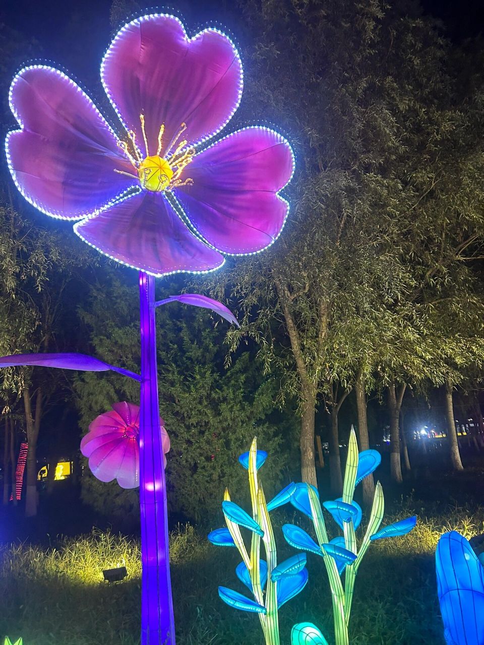 辽河湿地公园灯展