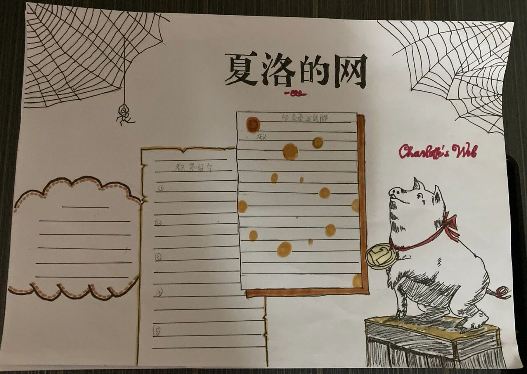 夏洛的网手抄报 每画一次手抄报,都觉得自己画功又进步了