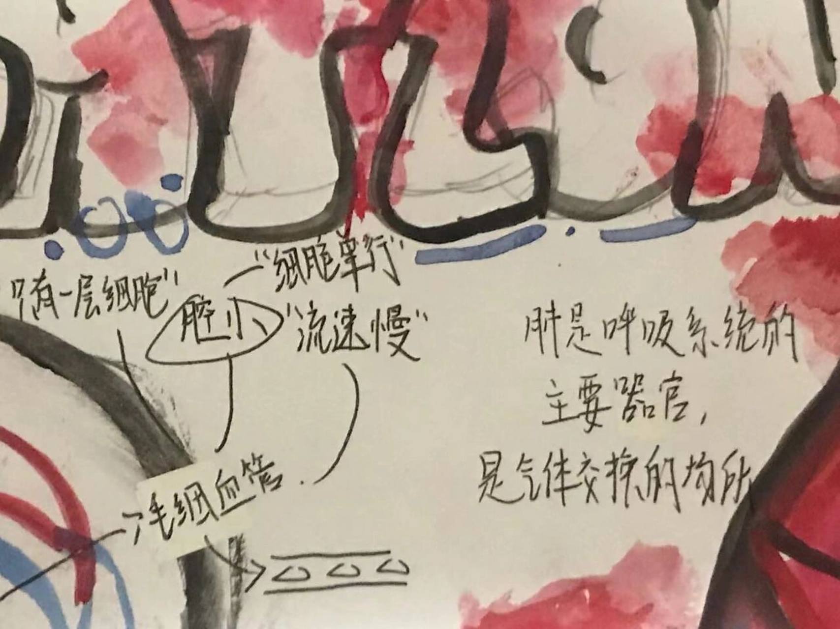 生物手抄报 我爱生物