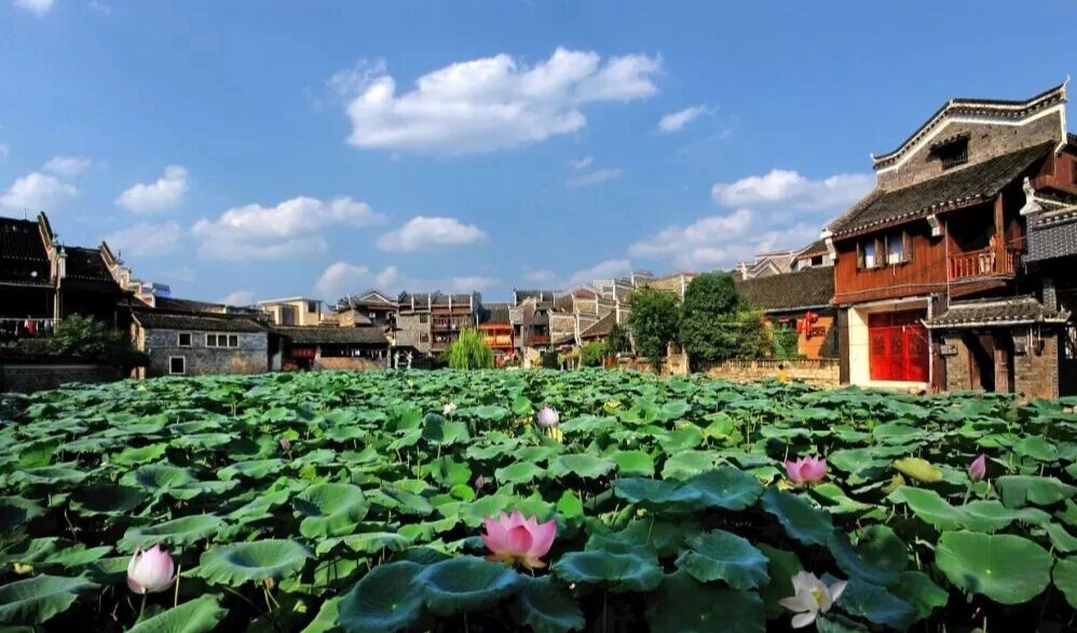 吉首周边旅游景点图片