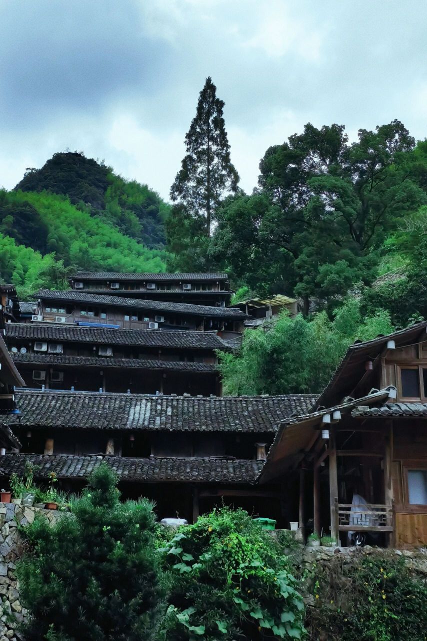 温州永嘉林坑古村落 冬天和夏天