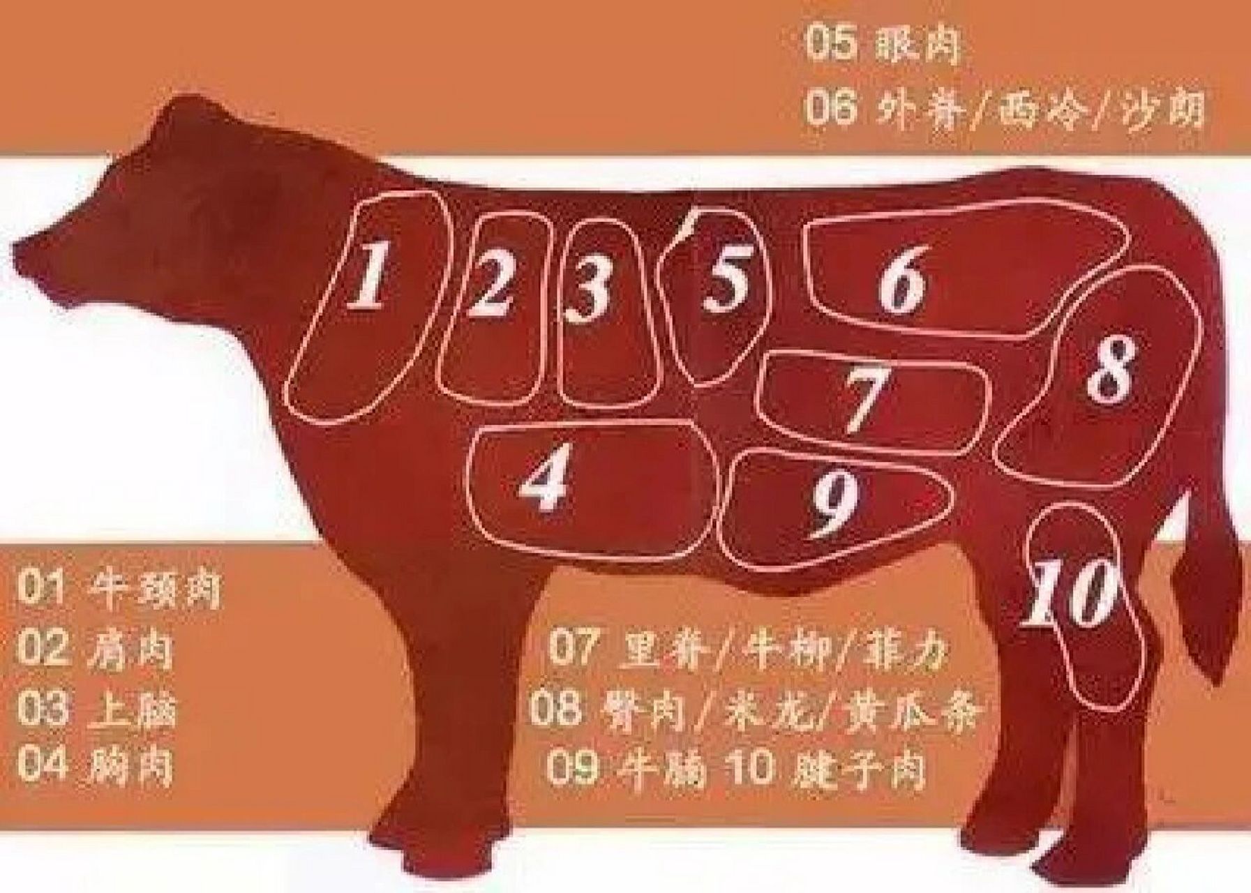 不同部位的牛肉,应该怎么吃?