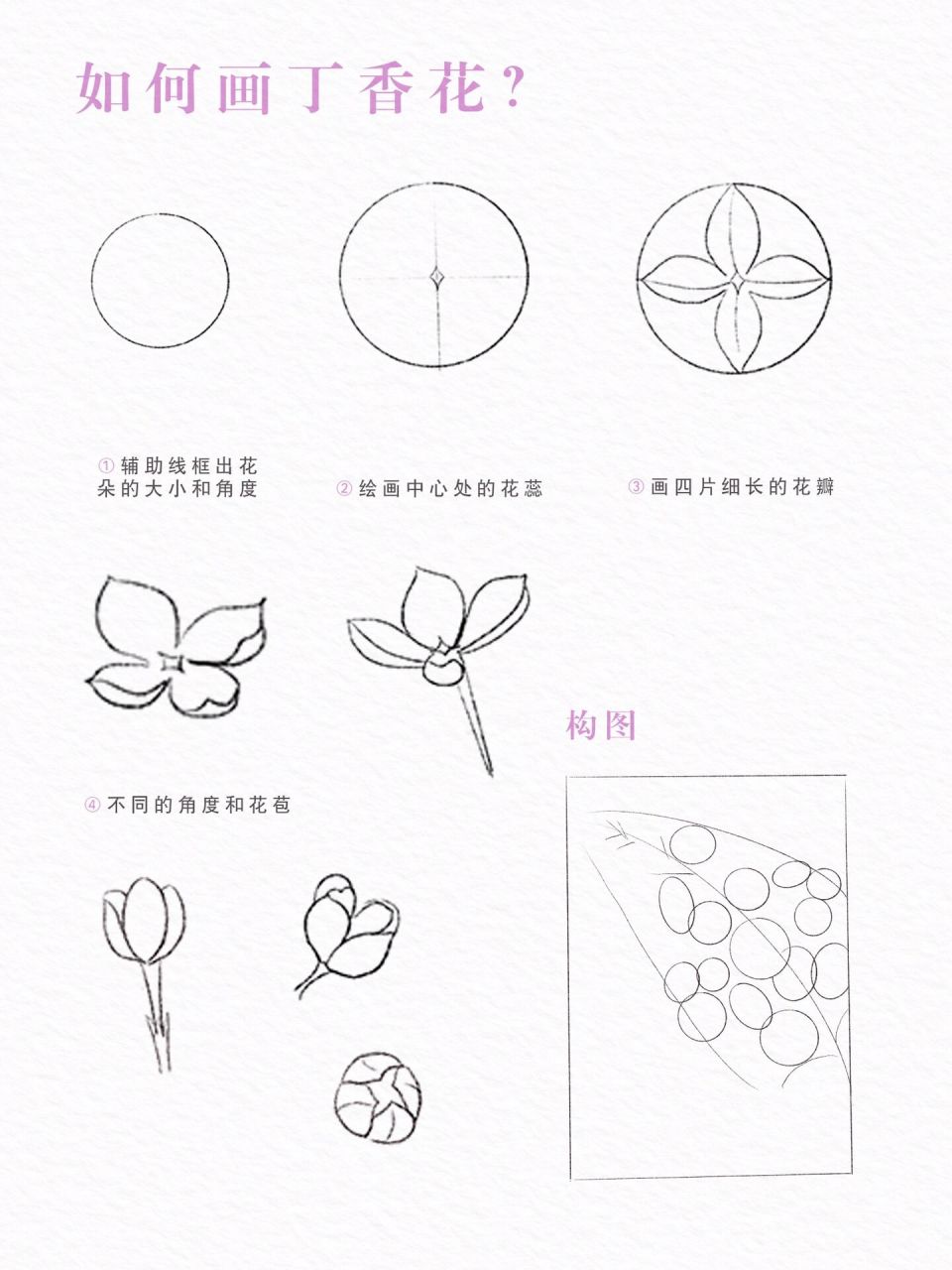 丁香花彩铅画图片