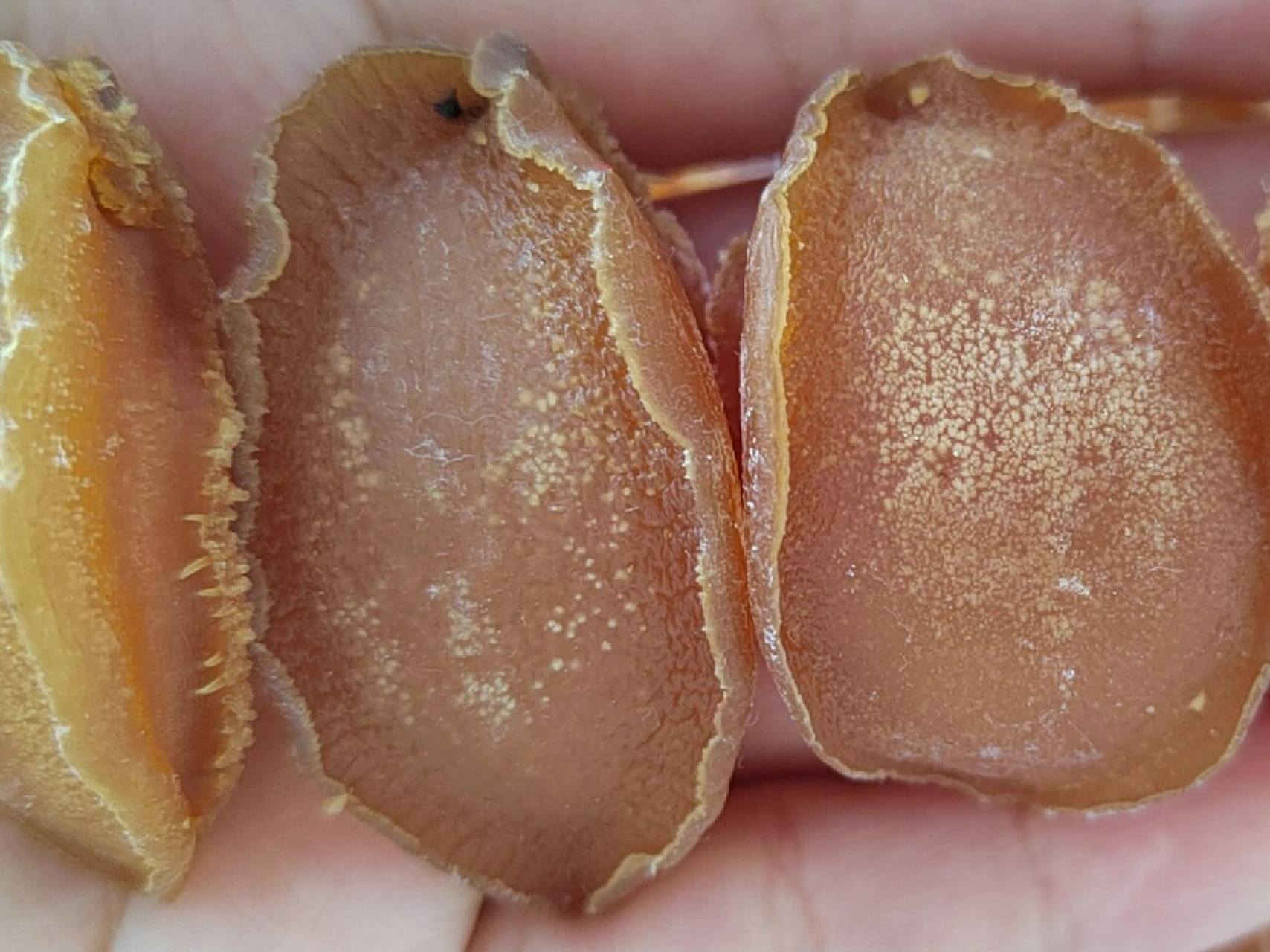 买的干鲍鱼,晒过几次,有一次晚上忘收,感觉返潮了,后面存放就变成这样