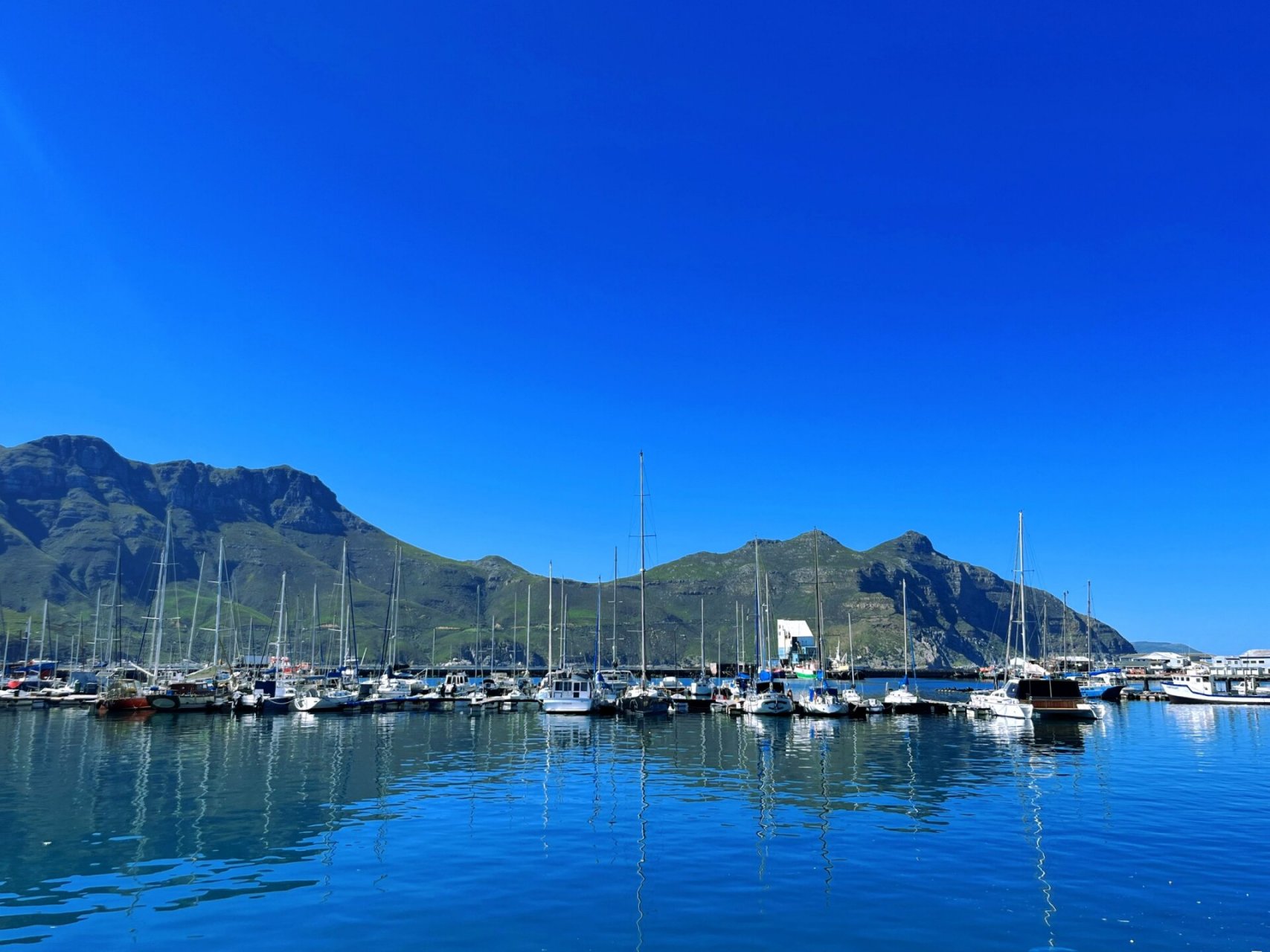 南非游记 | must-do 好望角攻略 还是一个人旅游攻略～ 来南非的第