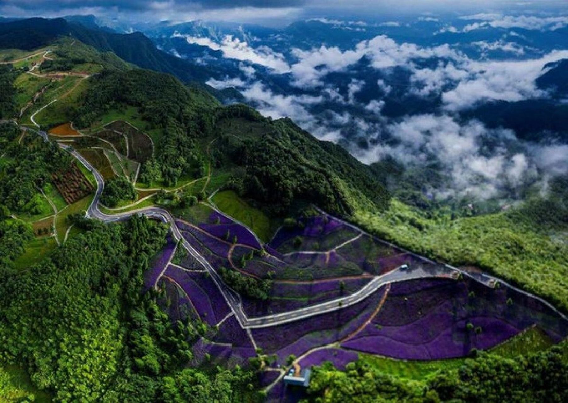 野三关旅游攻略之景点篇 要到夏天啦,天气热起来了,快来野三关避暑嘞!