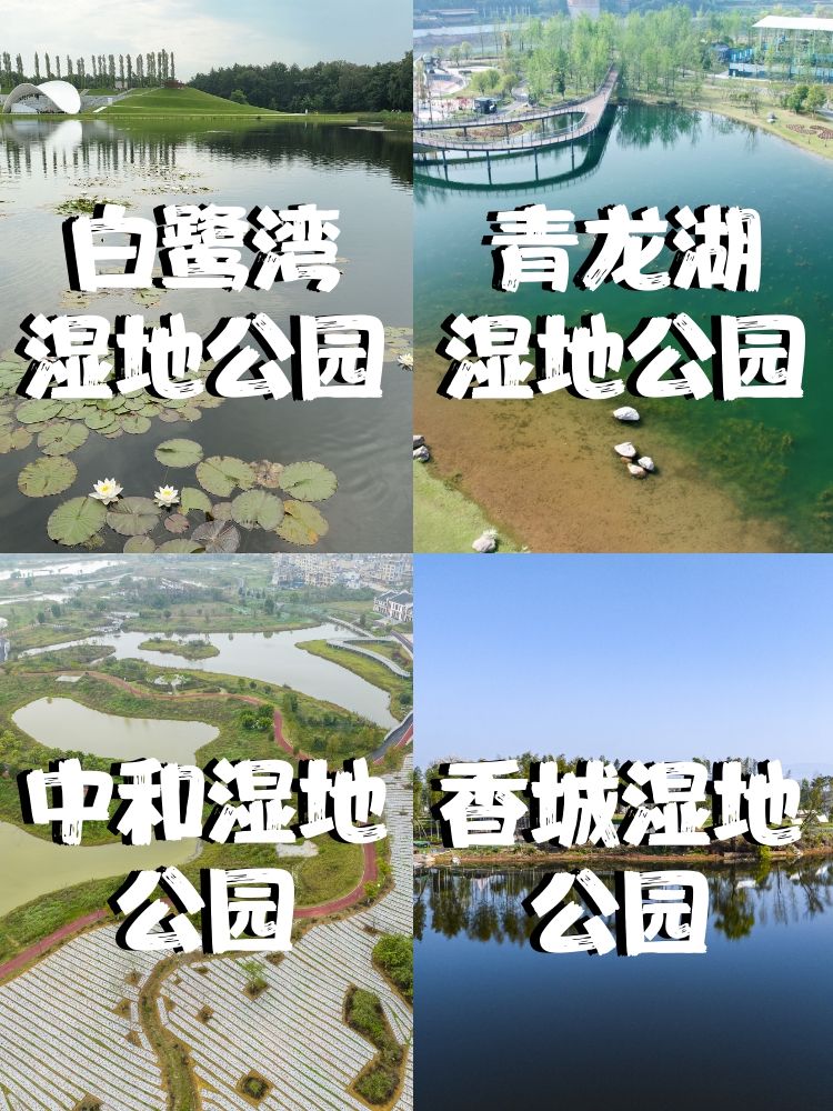 成都中和湿地公园地图图片