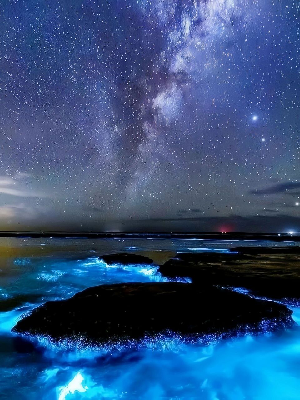 看星空坠于海78丨澳大利亚蓝眼泪91 78在澳洲遇见了那片荧光海