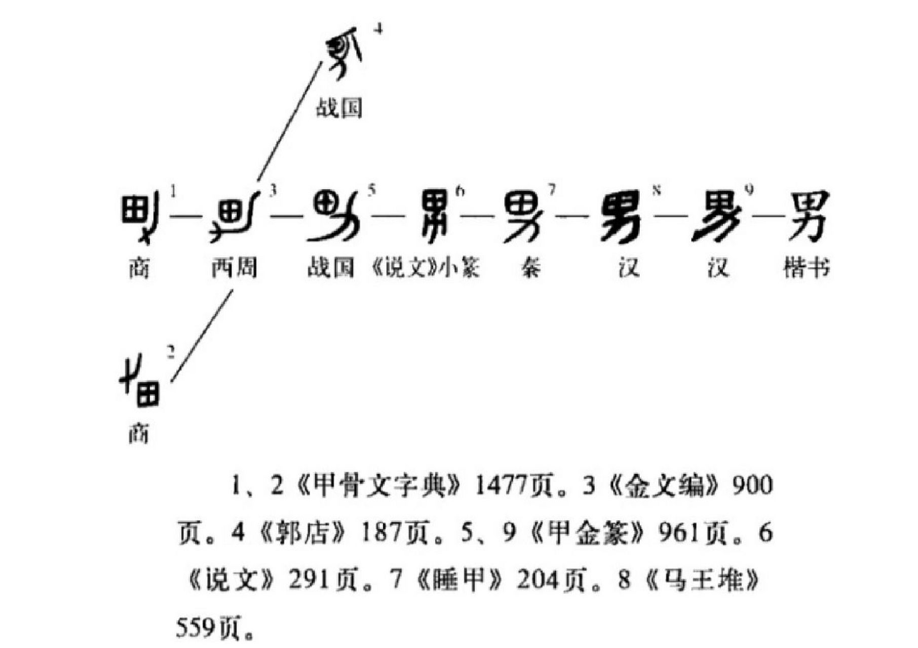 看"女"字演变,有感而发 昨天看着楷体"女",忽然觉得她像一个人扛着一