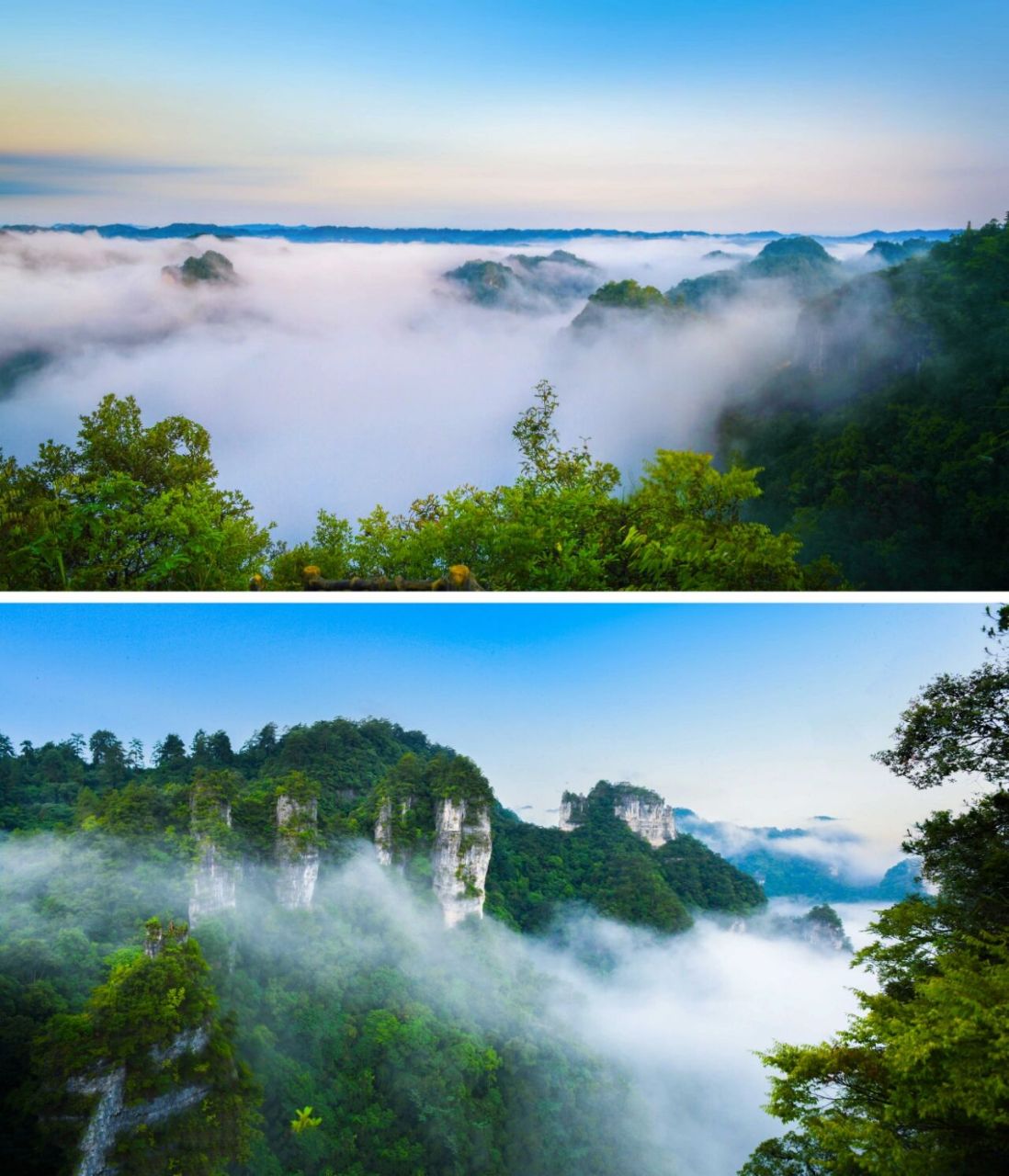 【贵州施秉】云台山绝美云海,犹如仙境 波澜壮阔的云海,是山岳的重要