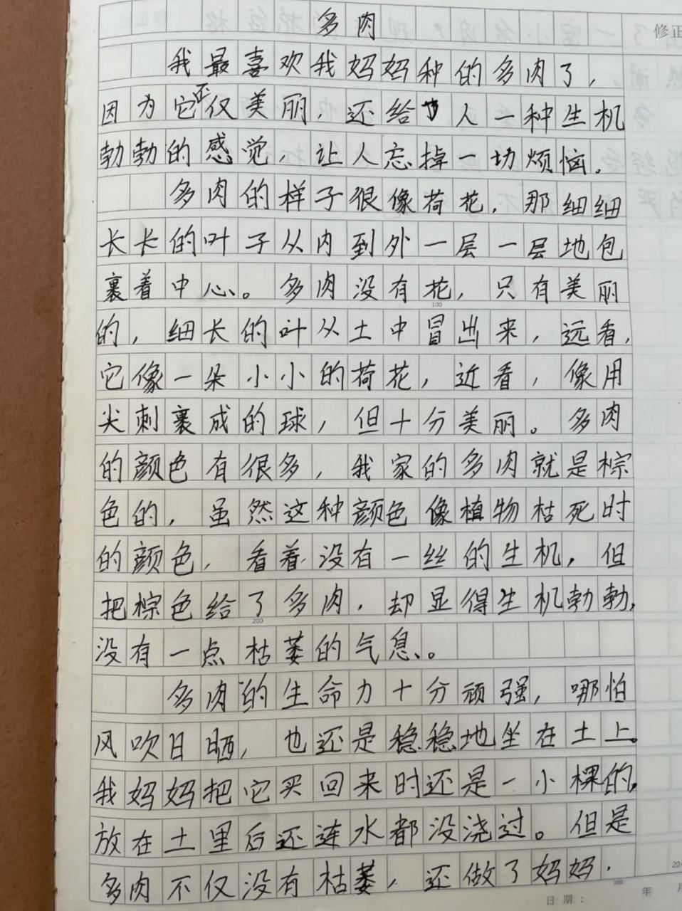 多肉观察日记350字四年级(观察日记多肉植物400字作文)