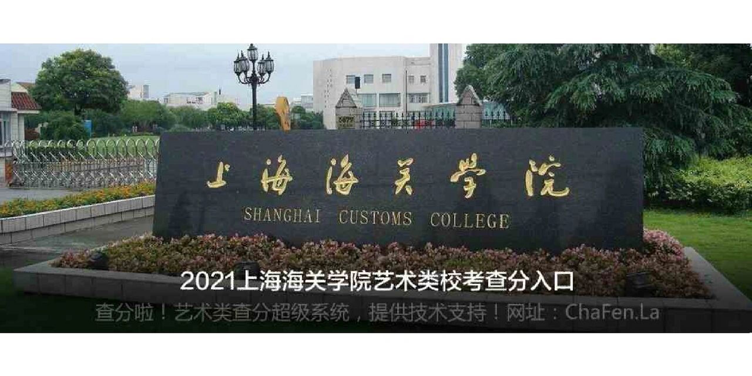 上海海关学院老校区图片