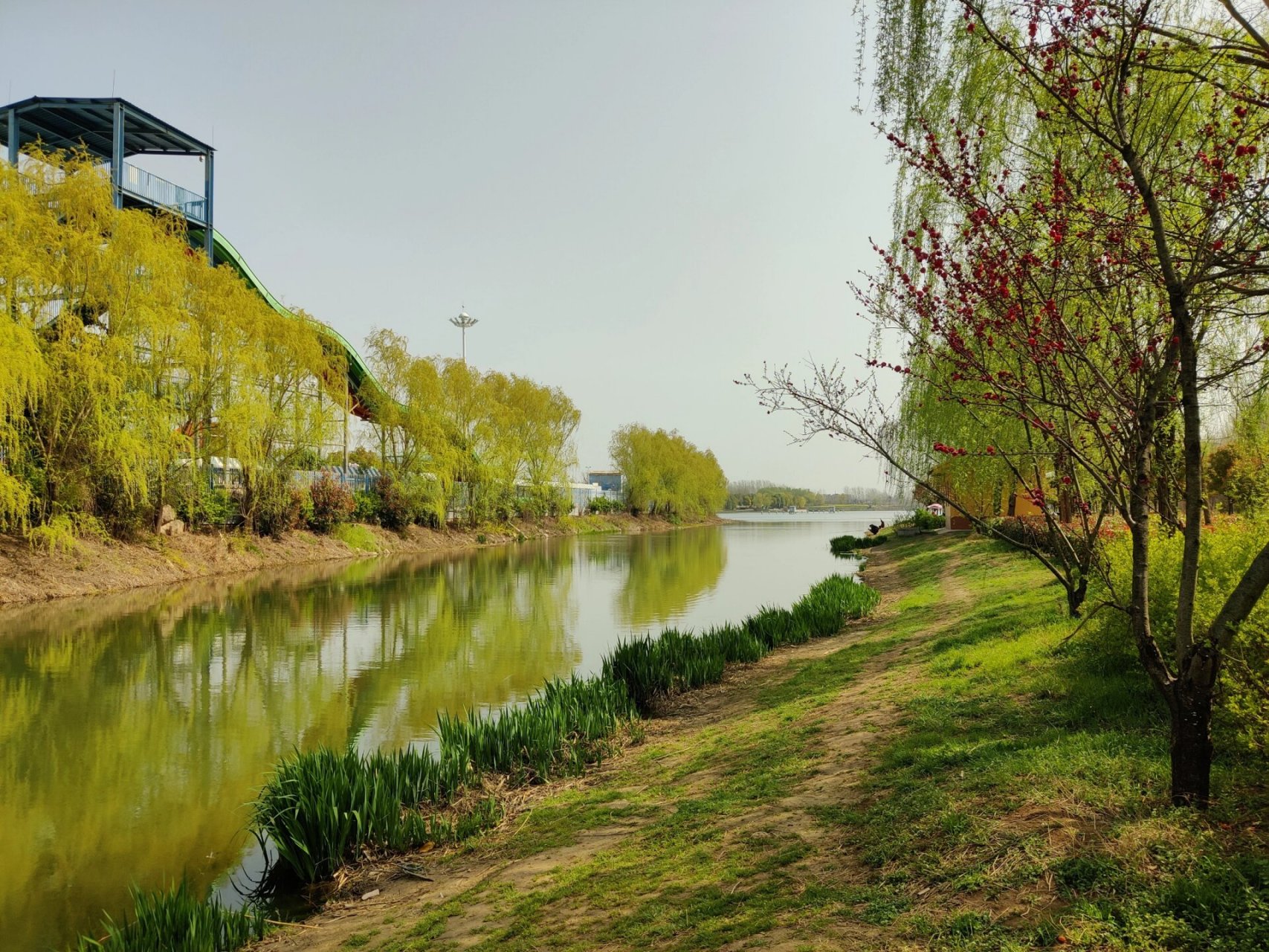 许昌秋湖湿地公园图片