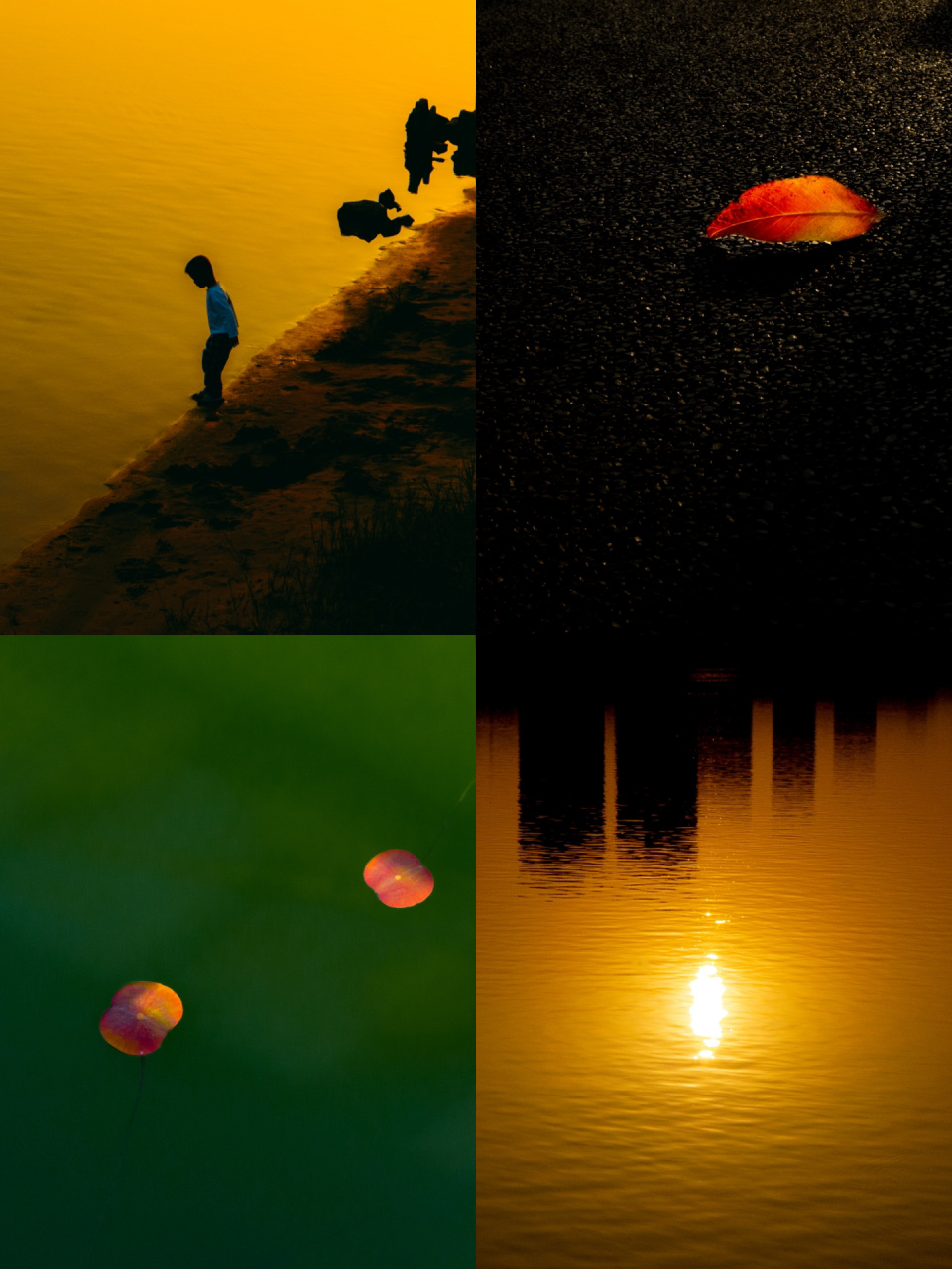 leica d-lux5 | 徕卡绝版卡片ccd