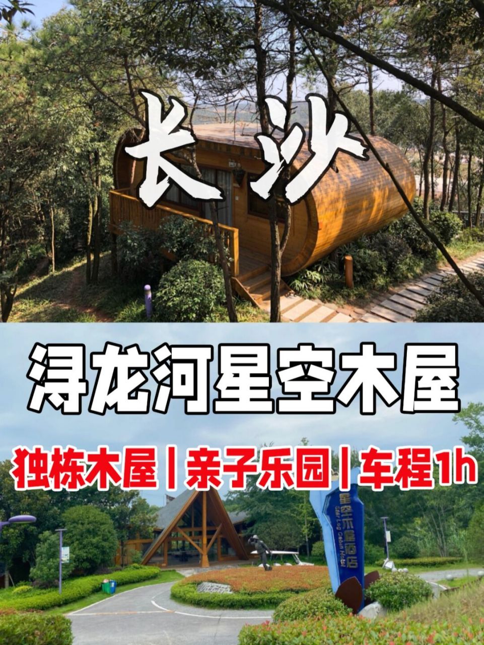 浔龙河民宿图片