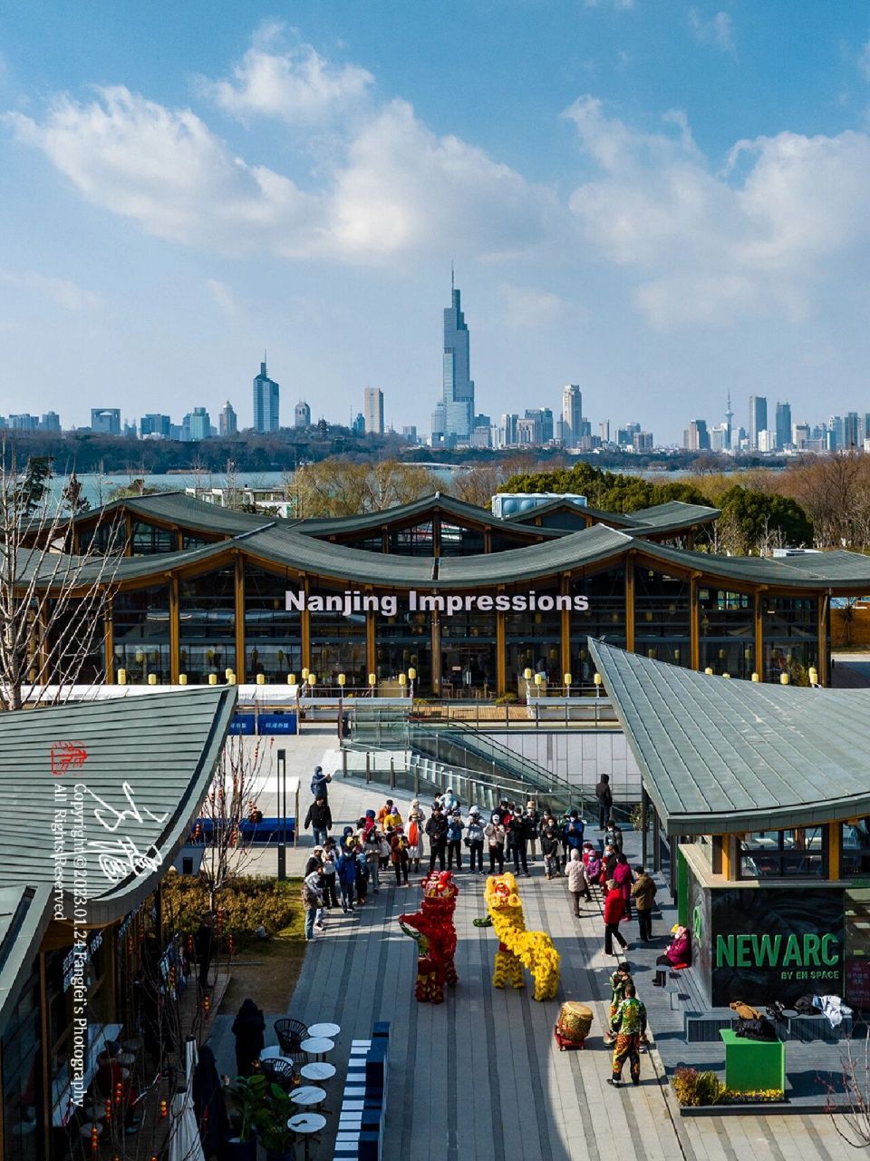 山水之间·南京印象 金陵style 676767 醒狮闹新春 醒狮一直被