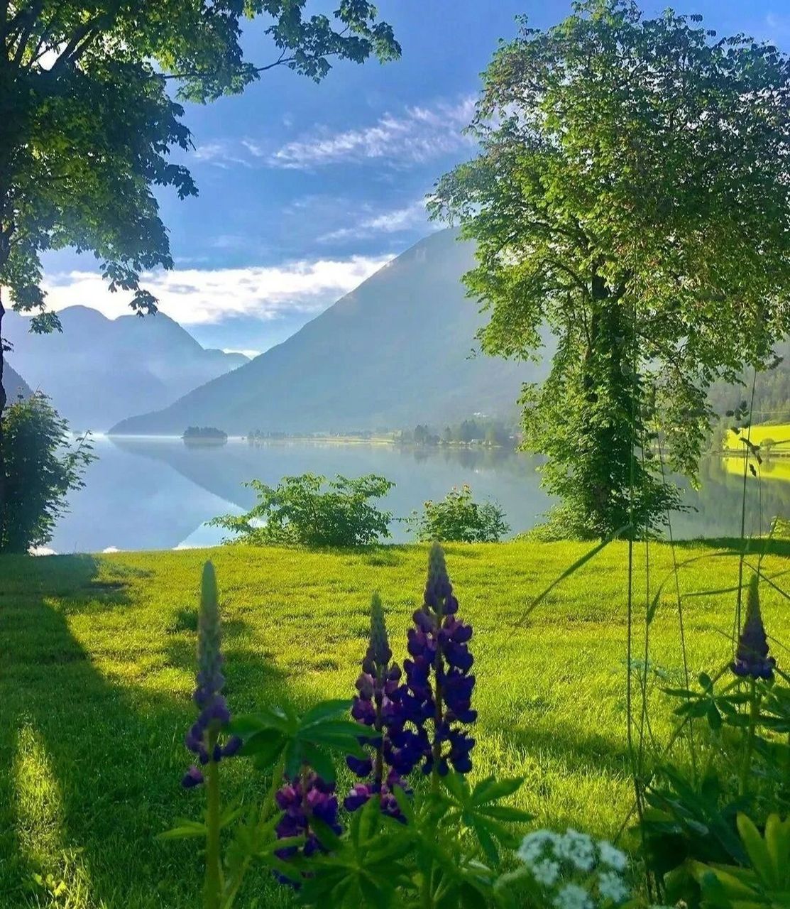 水—木(水木相生) 一个适合自己的什么"风"什么"水"头像,可以补充自己