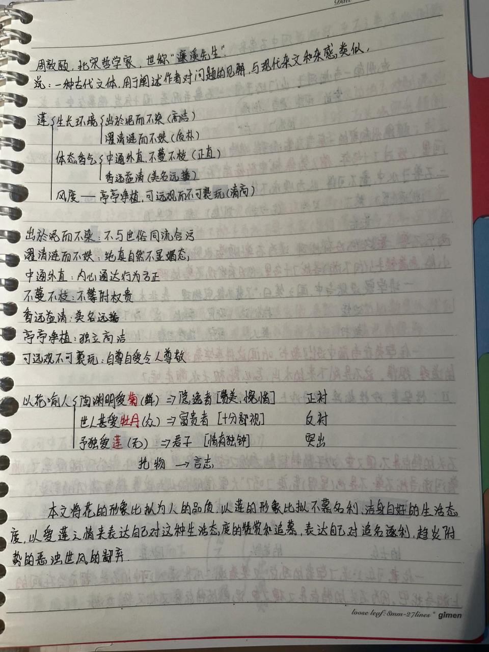 七下文言文《爱莲说》笔记 七下文言文《爱莲说》笔记