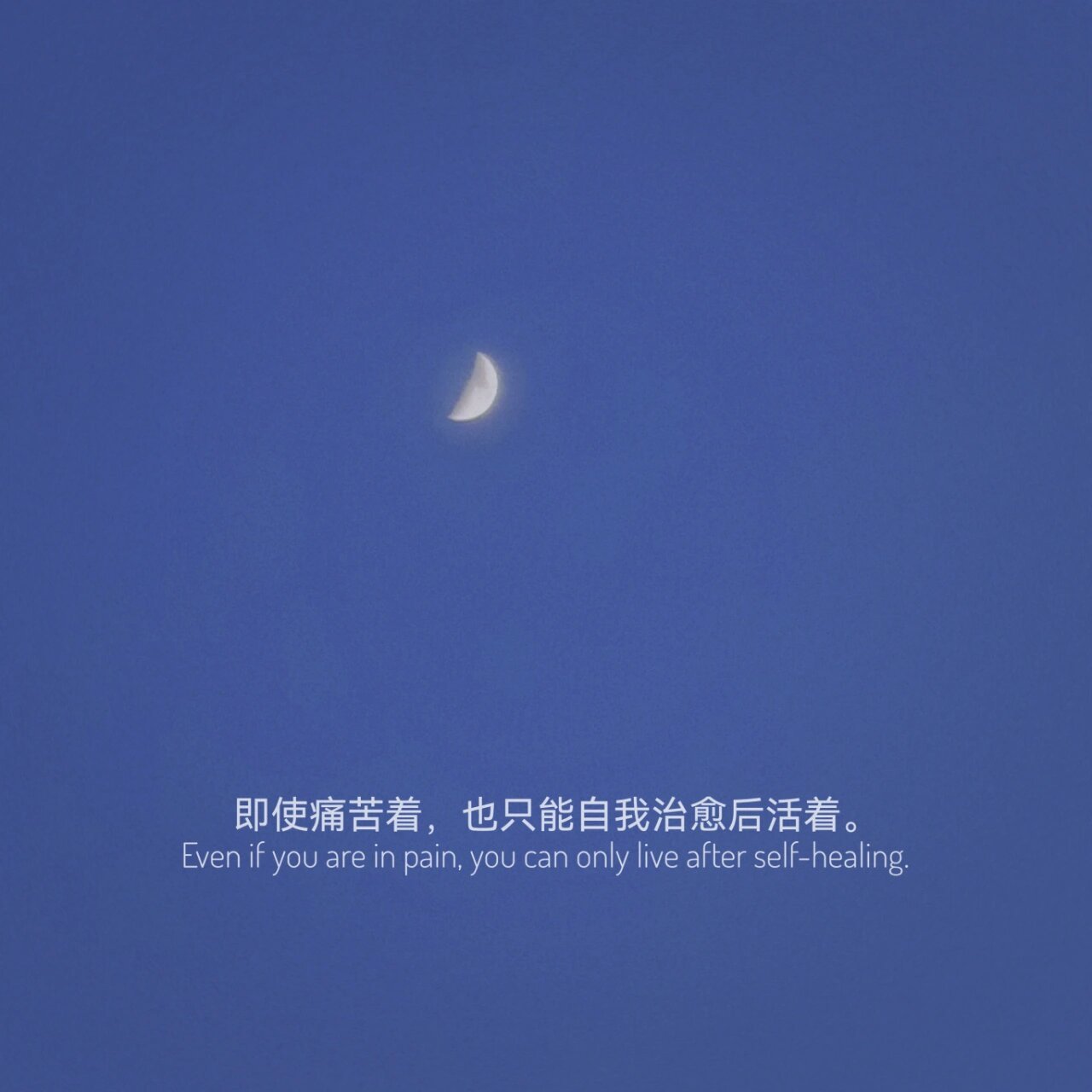 丧系文案|丧系朋友圈背景图(七) 致郁文案: 1.