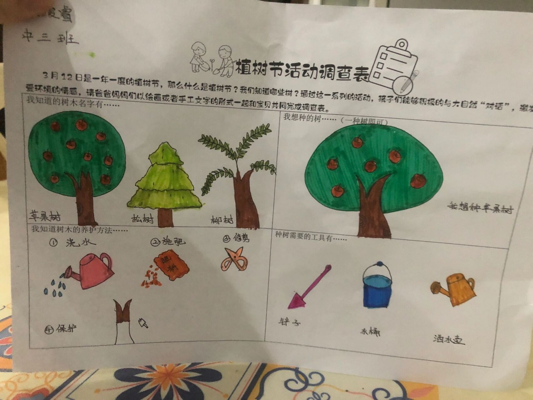 幼儿园作业——植树节活动调查表