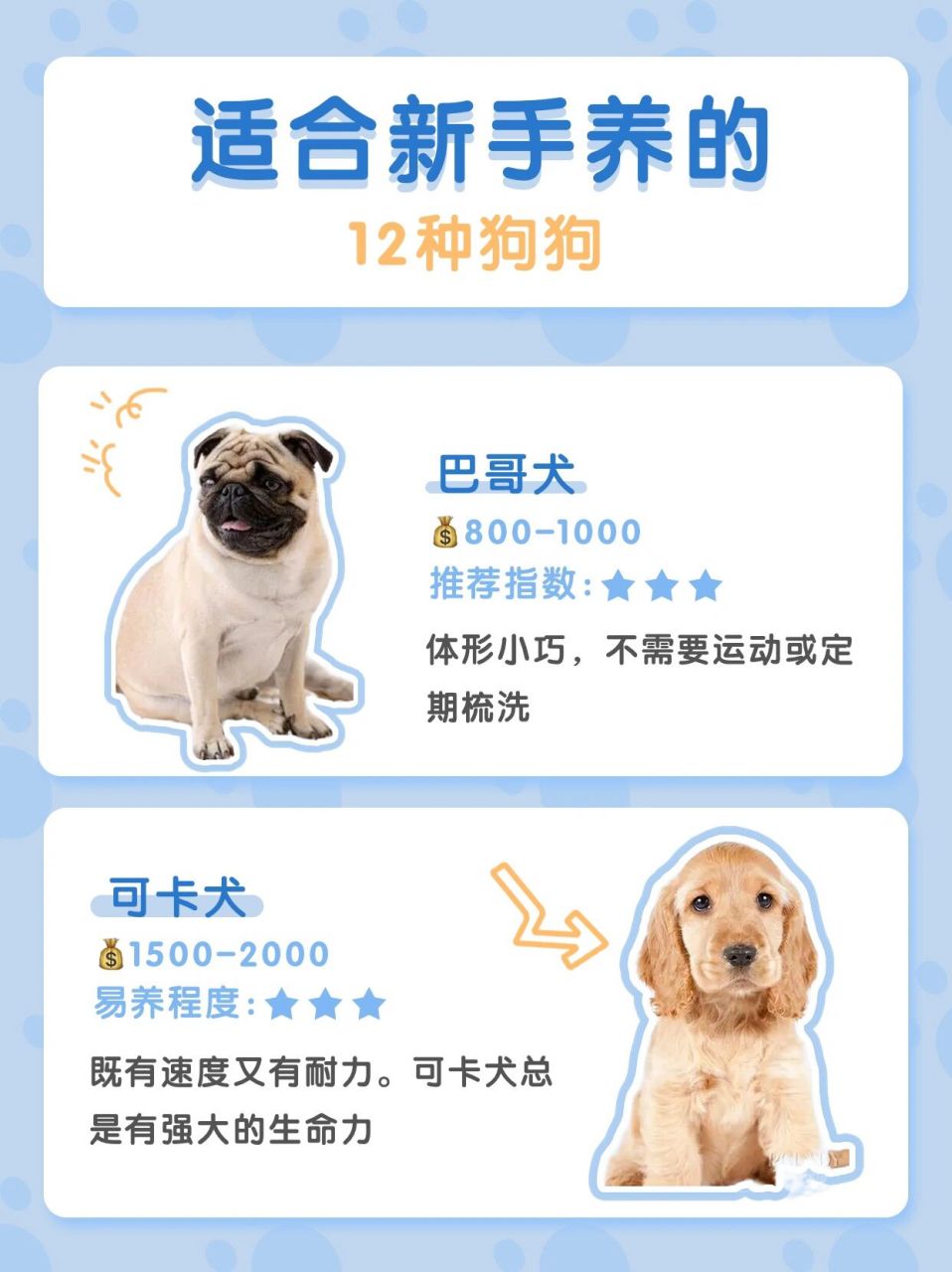 top1:小鹿犬 推荐理由:性格很温顺,同时体质也很好,食量不大 	 top2