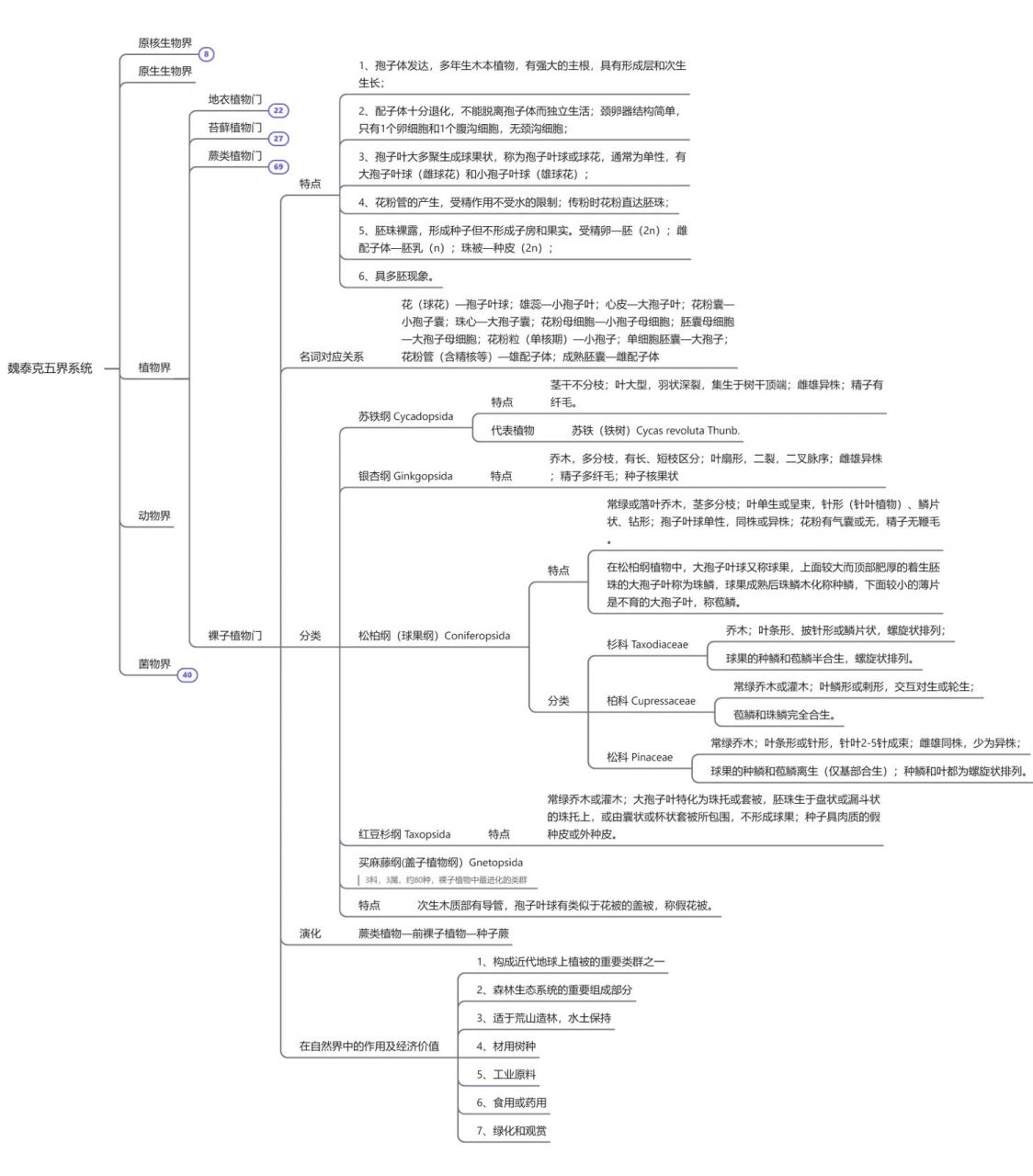 植物分类思维导图图片