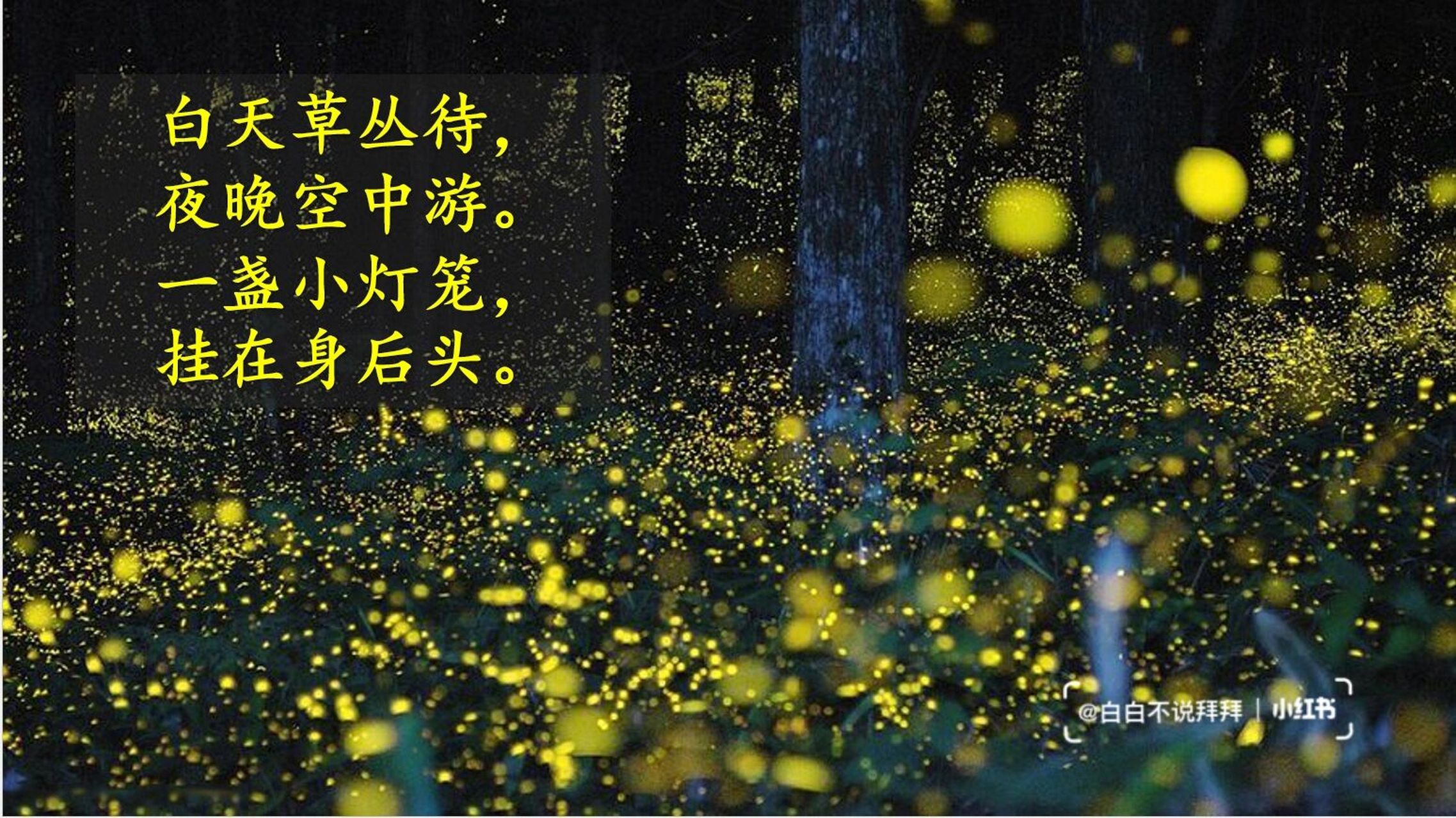 91囊萤夜读 小学语文部编版 四年级 第六单元文言文二则 囊萤夜读