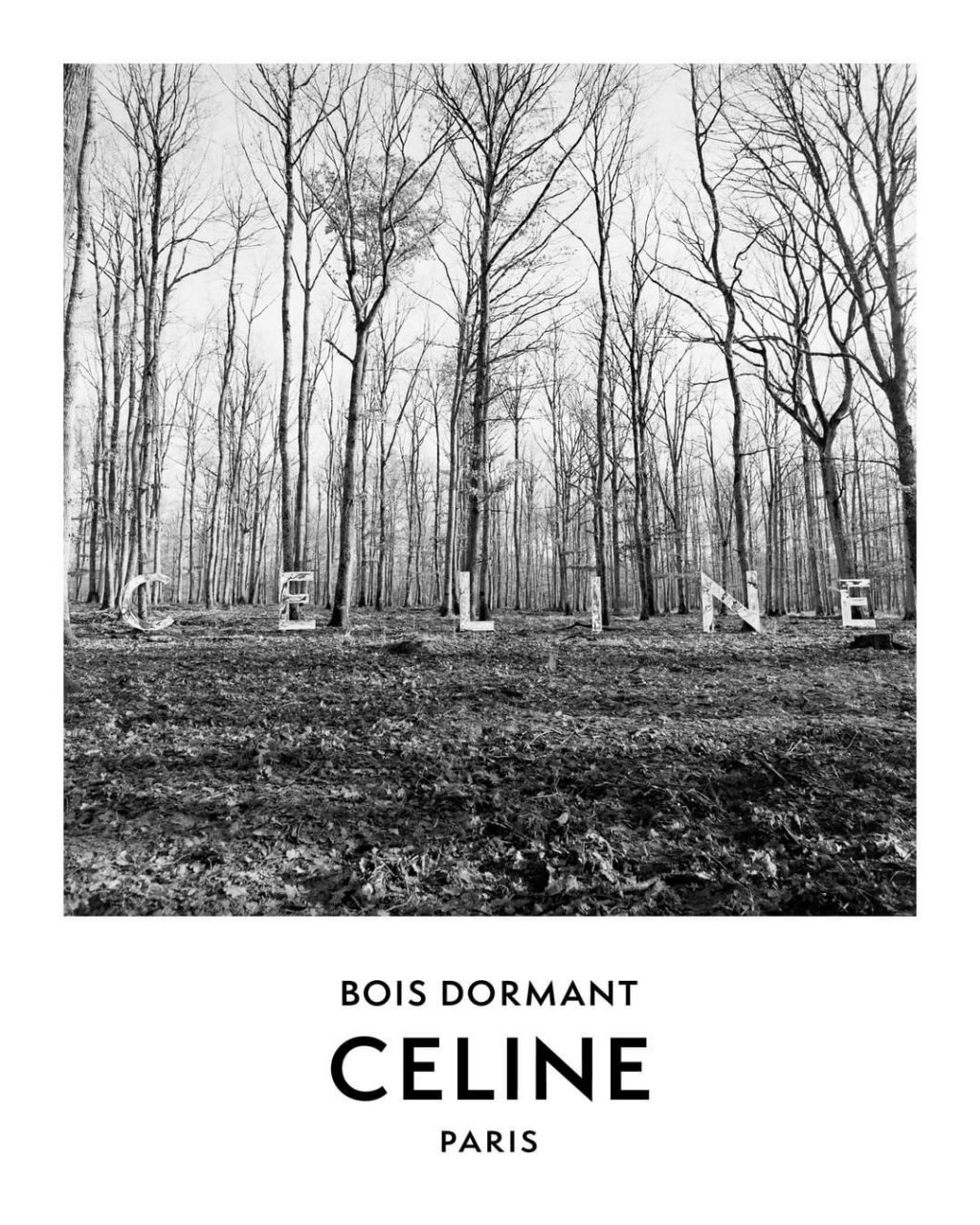 celine bois dormant——香根草 鸢尾根 ★★★★ 同样是粉感香根草