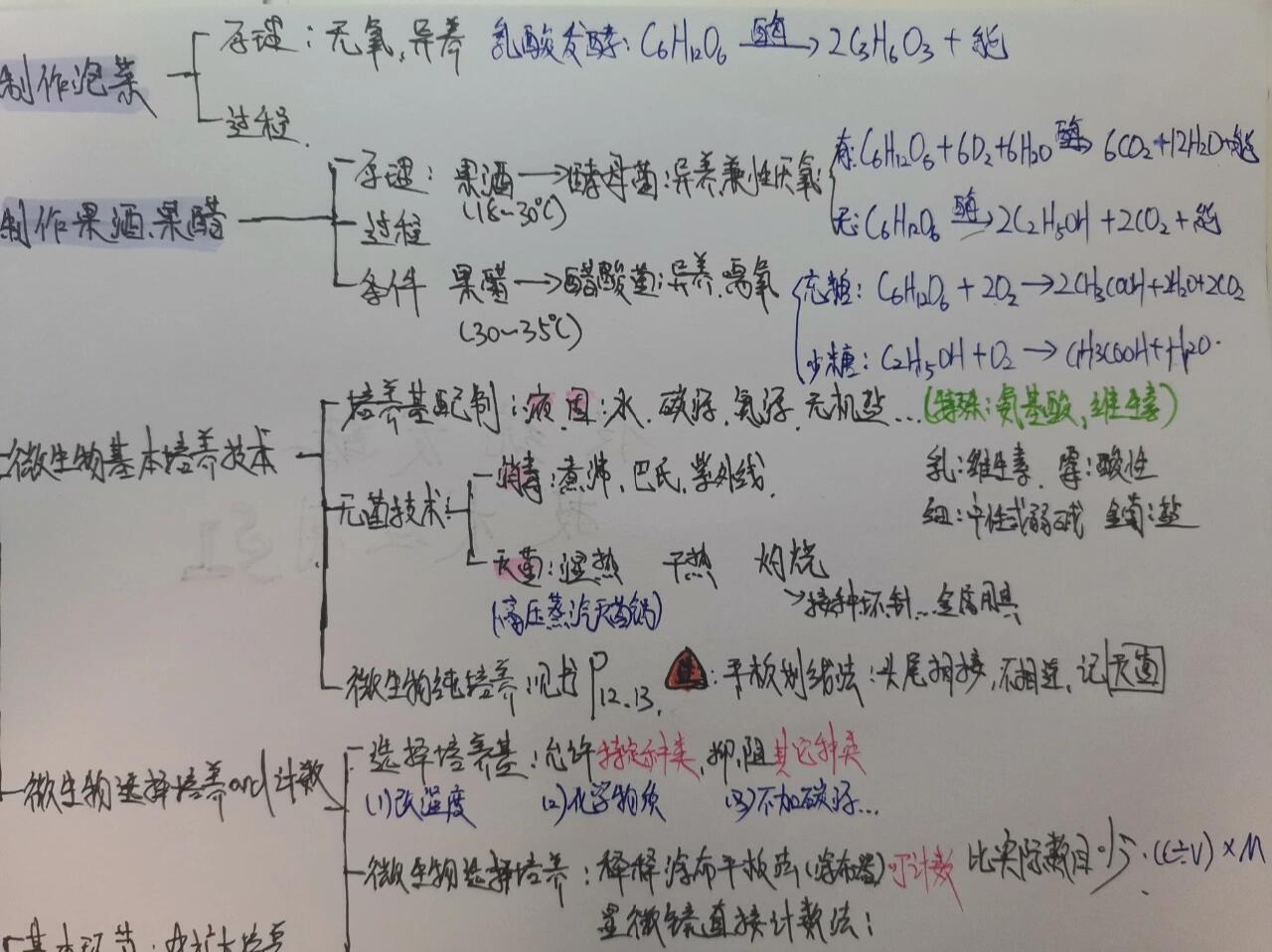 高中生物选修三第一章 思维导图&总结