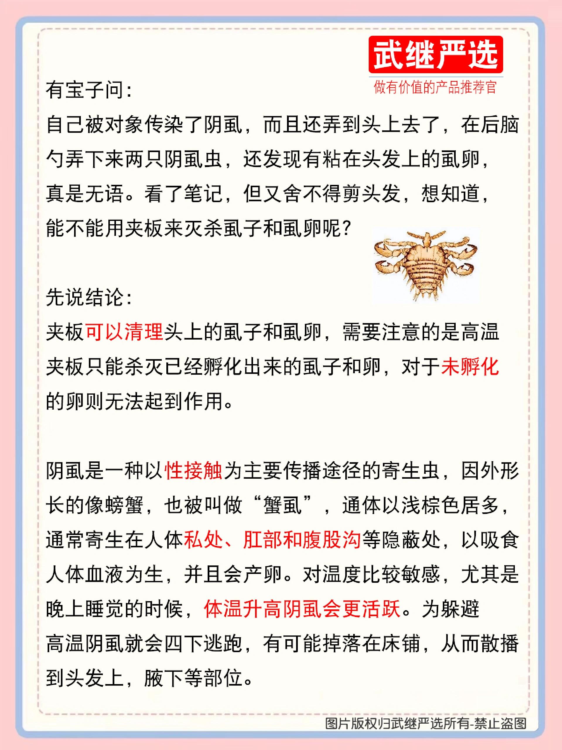 虱子怎么去除小窍门图片