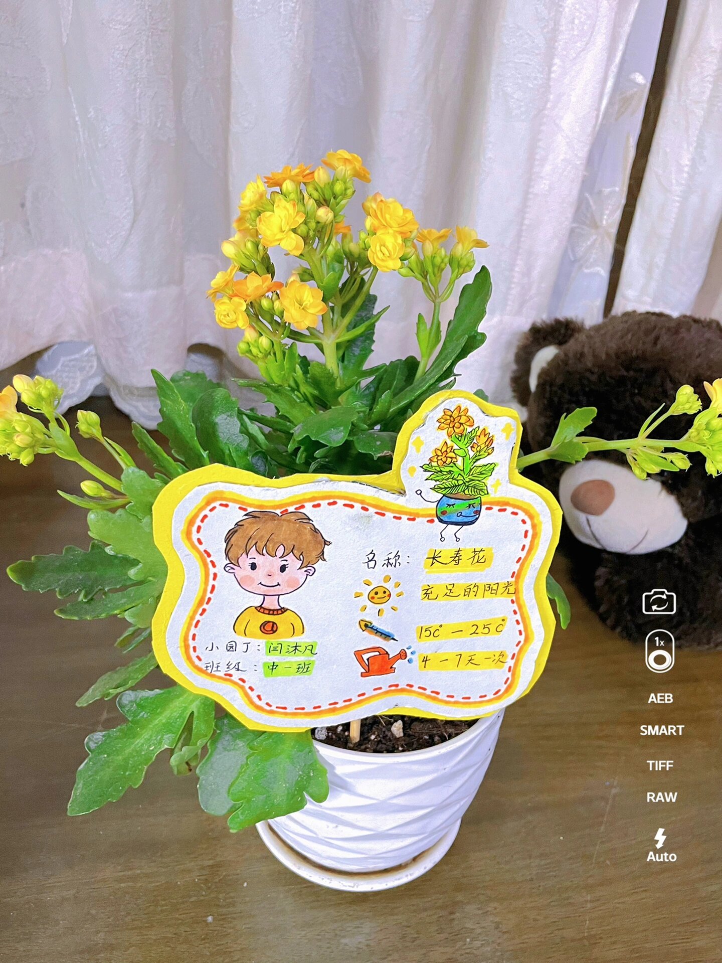 植物养护牌第二弹!