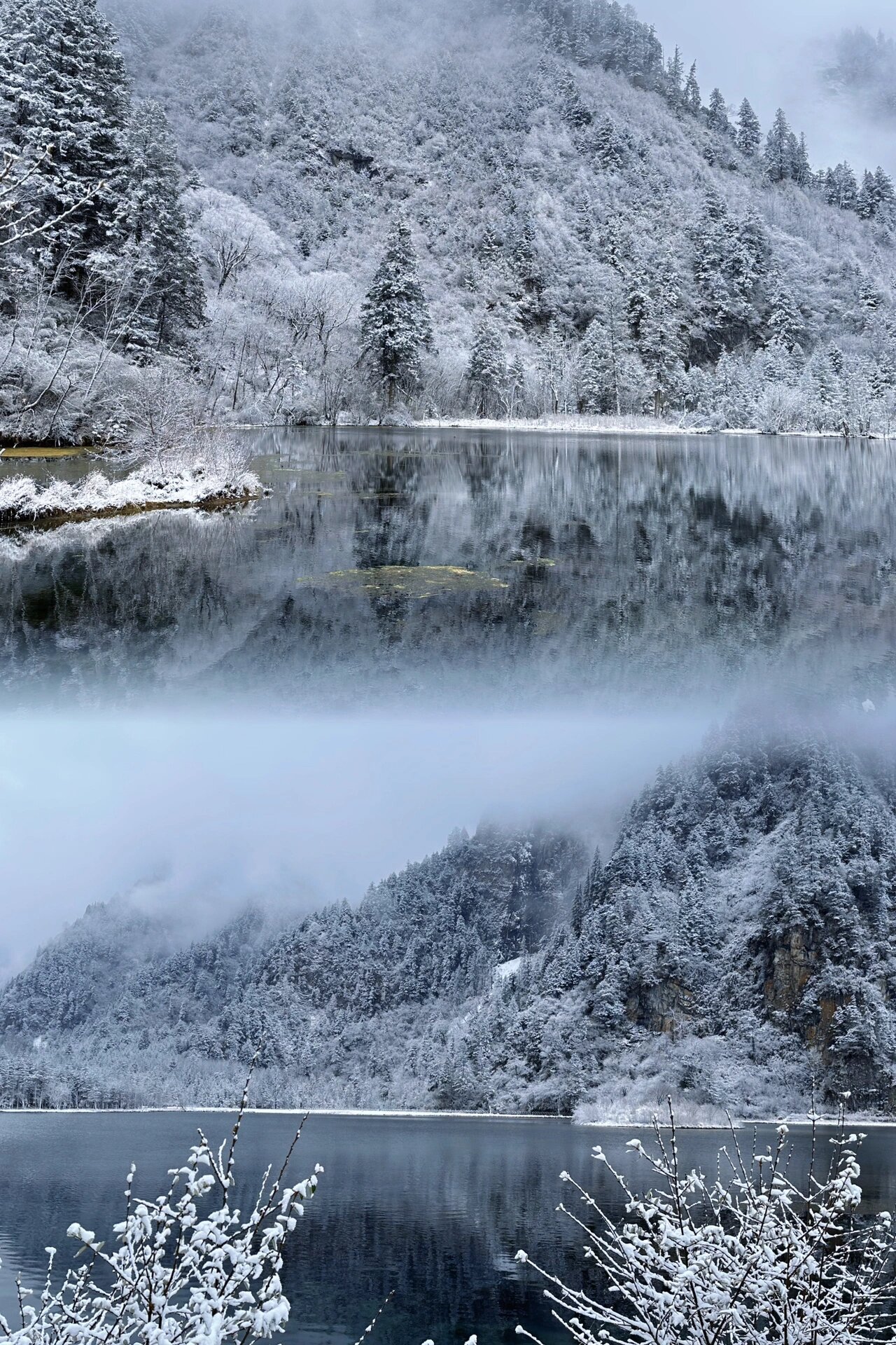 12月的毕棚沟下雪啦76157015 刚好遇上前一晚下大雪,看到了