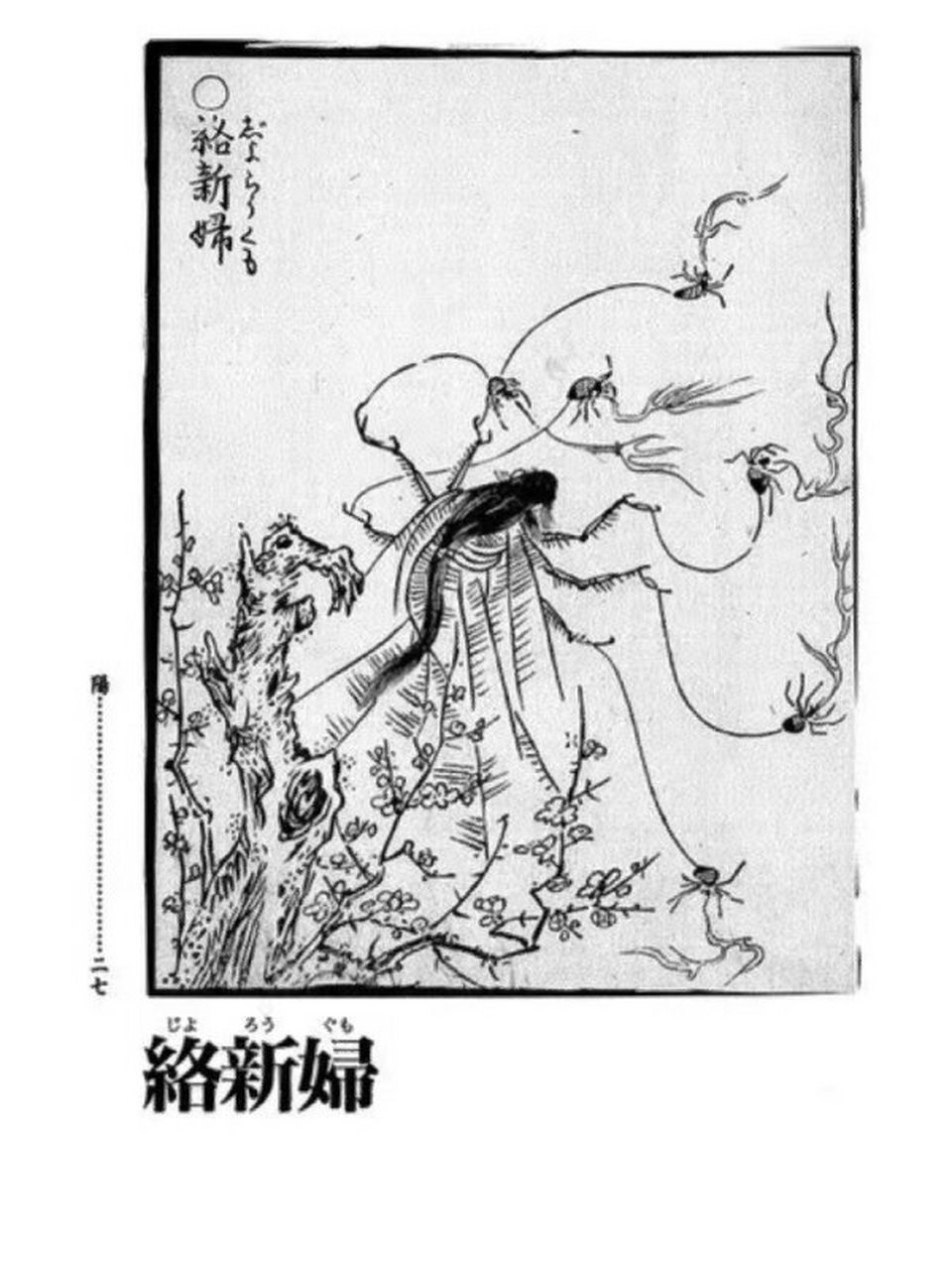 诱惑男人的人面蜘蛛——斑络新妇 好物分享: 斑络新妇(nephila