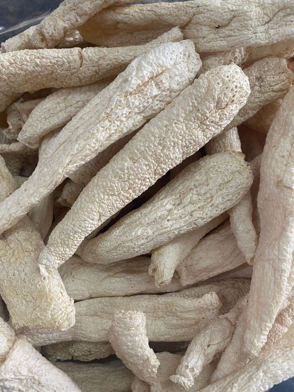 野生竹荪 99野生竹荪 一试便会爱上的正宗野生竹荪,推荐6015肉