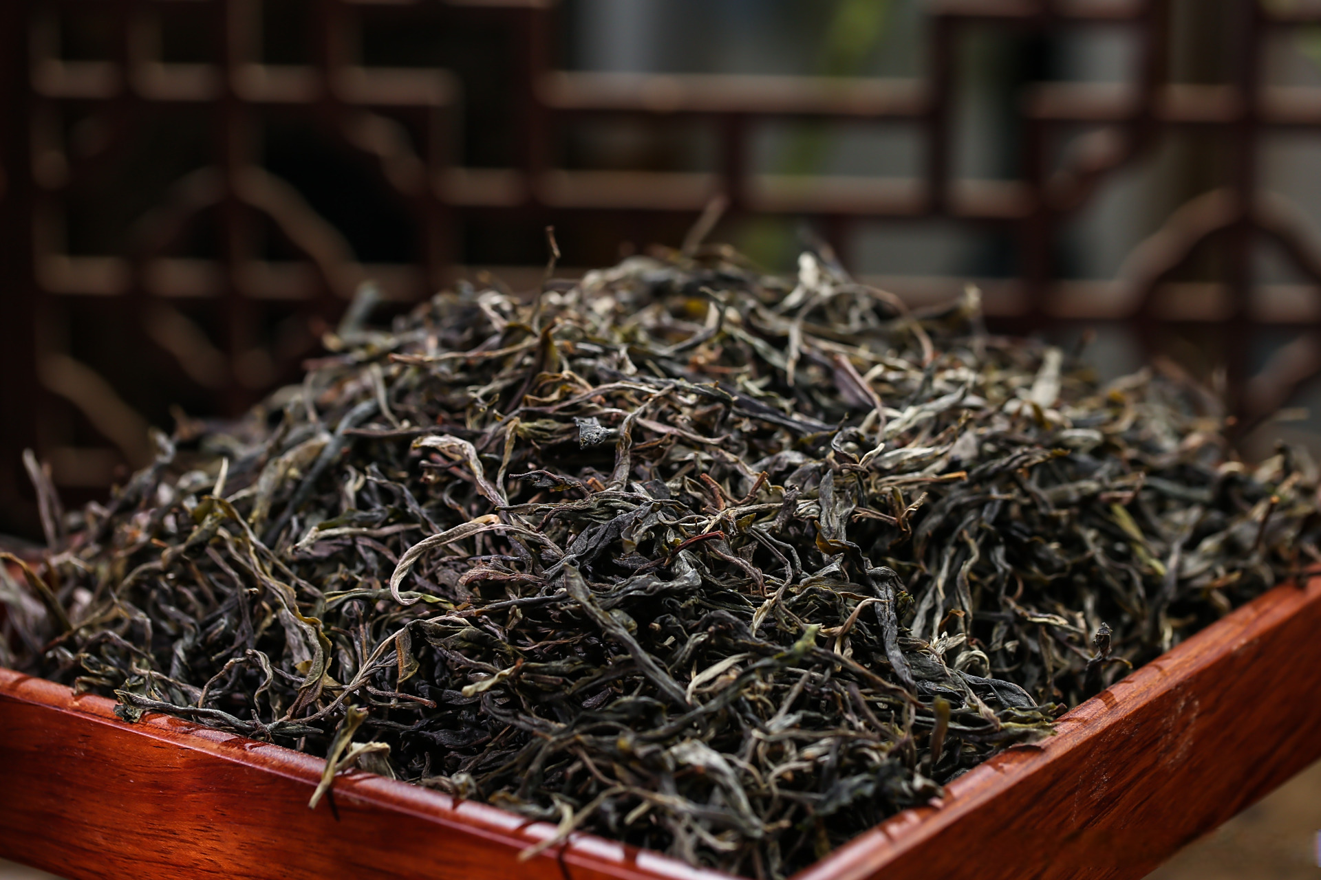 2023年易武古六山蛮砖老树 干茶条索黑亮粗长,花香,蜜香浓郁 口感厚实