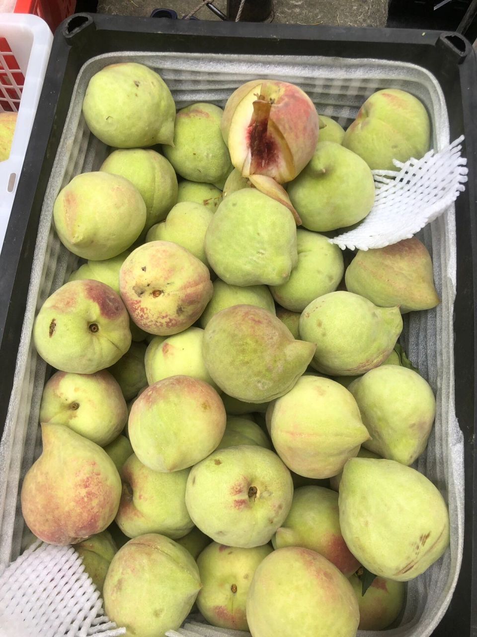 云南水果推荐—鹰嘴桃 这个桃子不要被它的表面误导,真的很甜很好吃