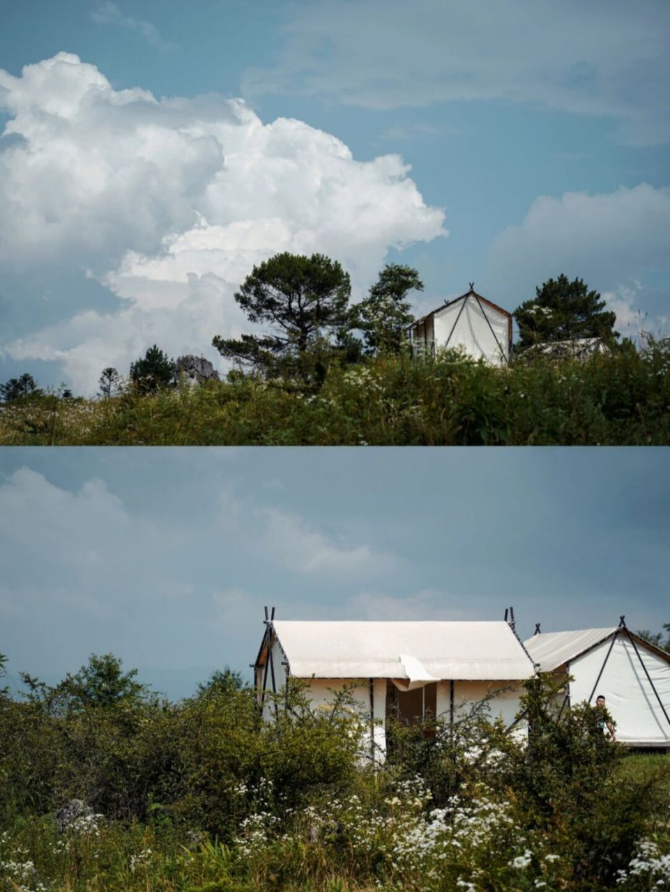 重庆避暑露营|千野草场|草地树林森系拍摄 #千野草场#是我早年来过的