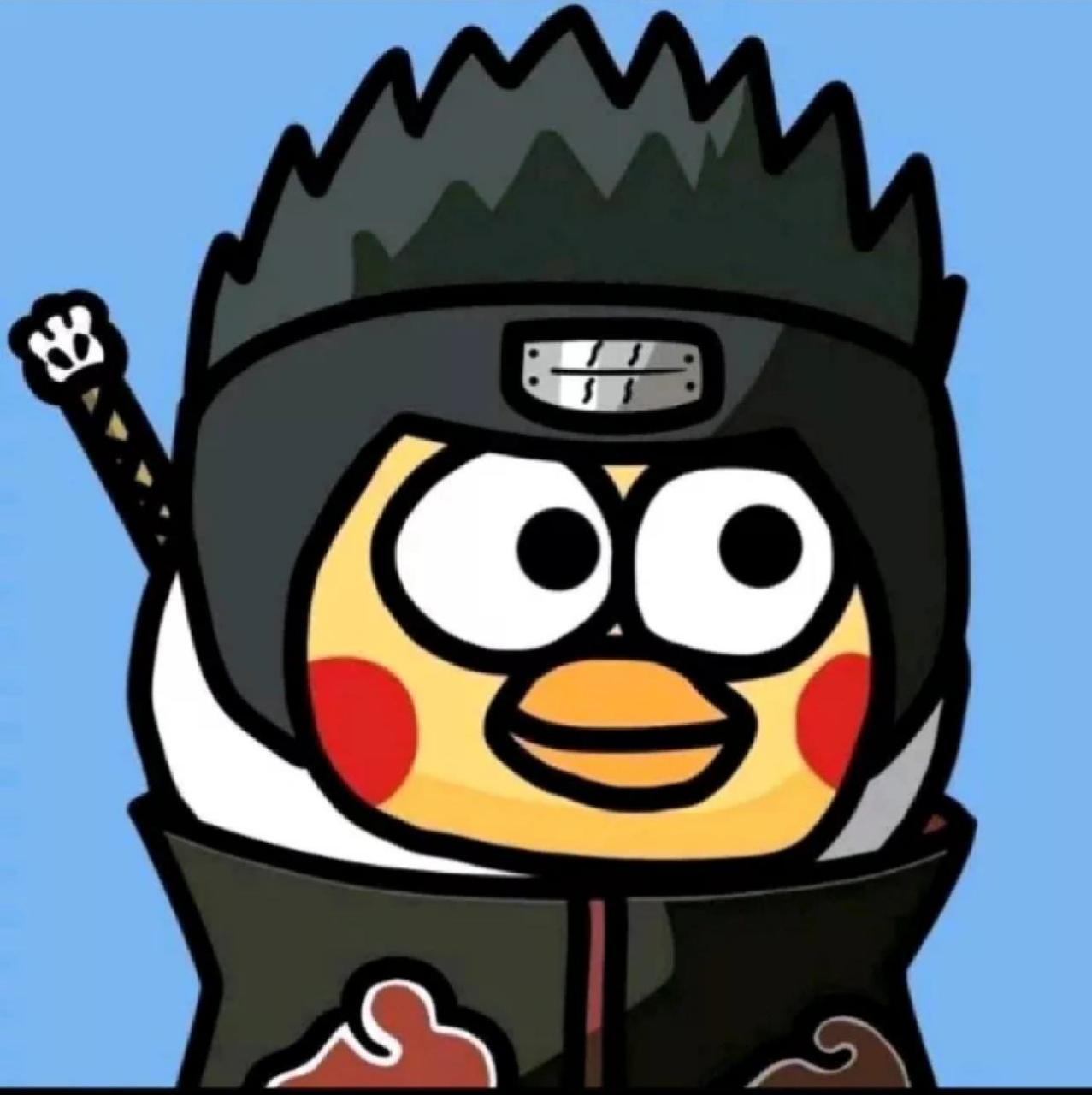 鸡 你太美头像 鸡 你太美头像