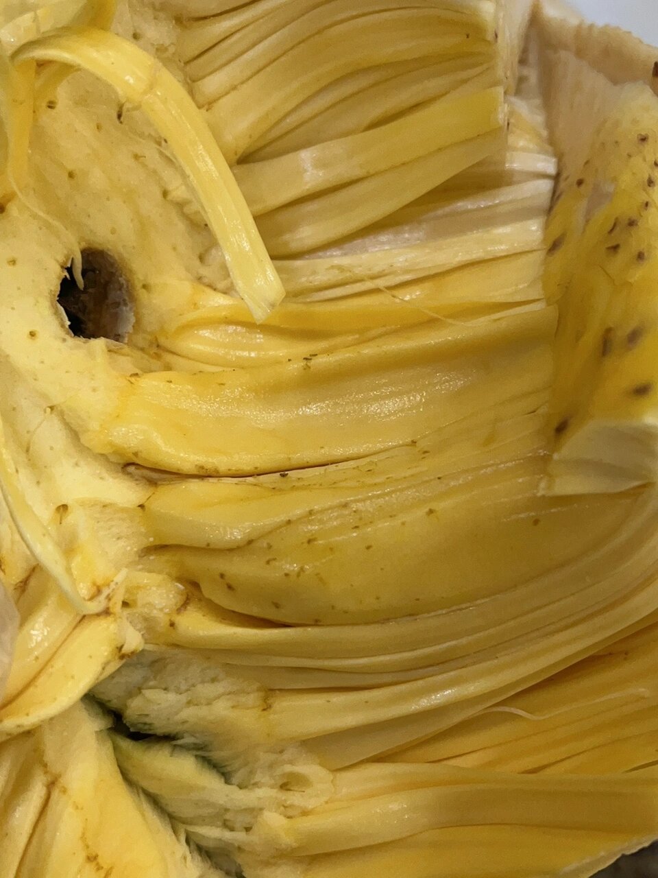 满心期待在网上买了一个20斤的菠萝蜜,想实现菠萝蜜自由,结果一打开