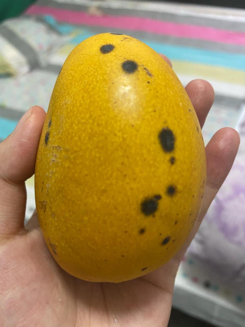 谁能告诉我这芒果03还能吃吗?