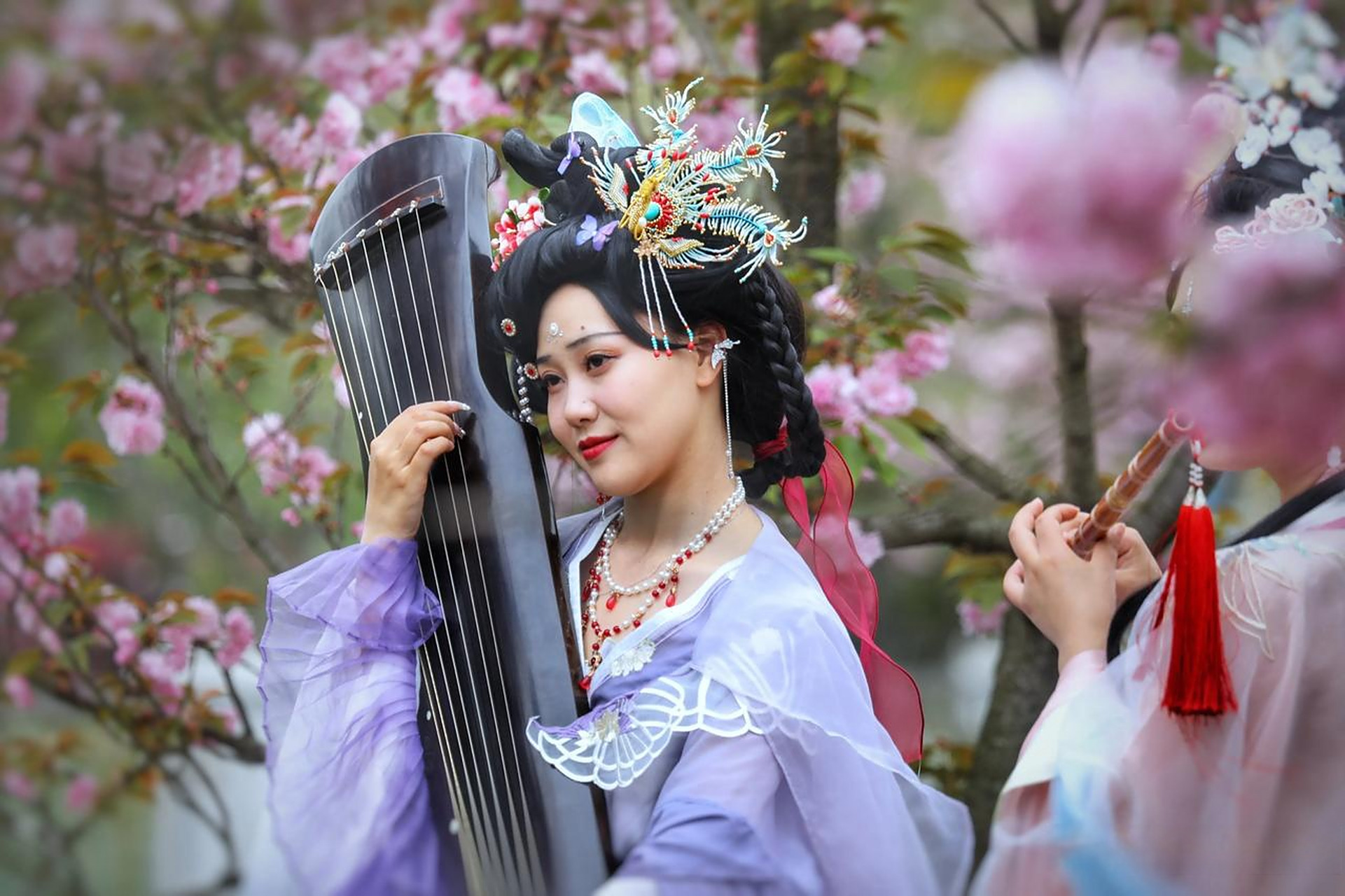 凤凰湖三月樱菲,美少女汉服巡游:青江婀娜女,幽梦恼襄王,恒敛千金笑