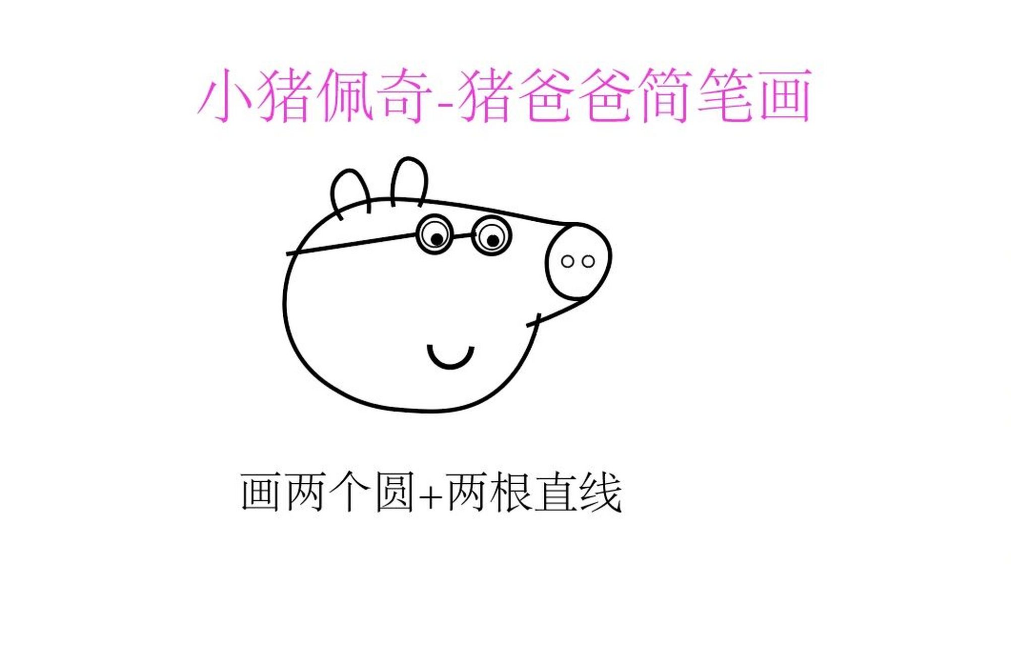 猪爸爸简笔画教程   猪爸爸简笔画教程来啦