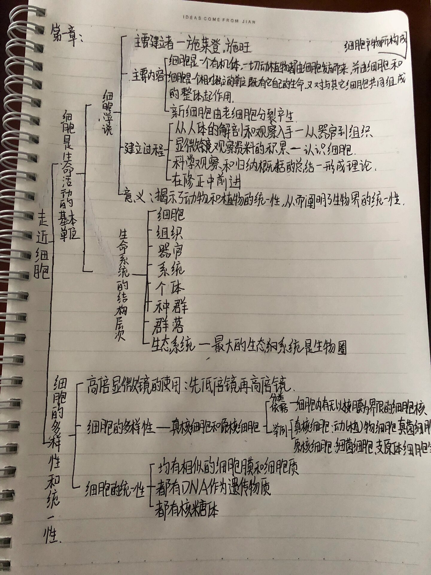 高一上必修一生物第一章思维导图