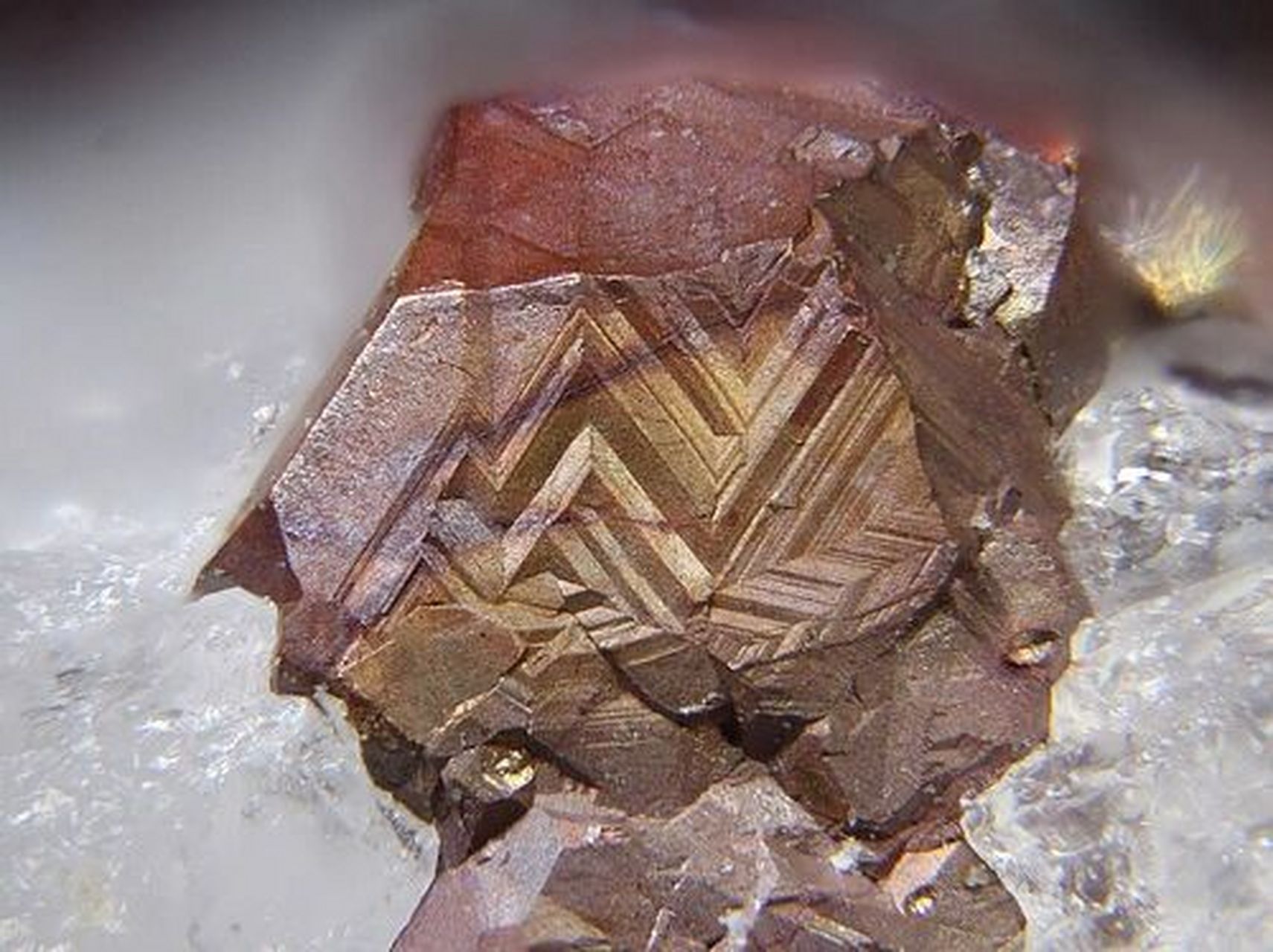 自然铜cu 自然铜是铜元素的游离单质,紫红色并具有金属光泽,自然铜因