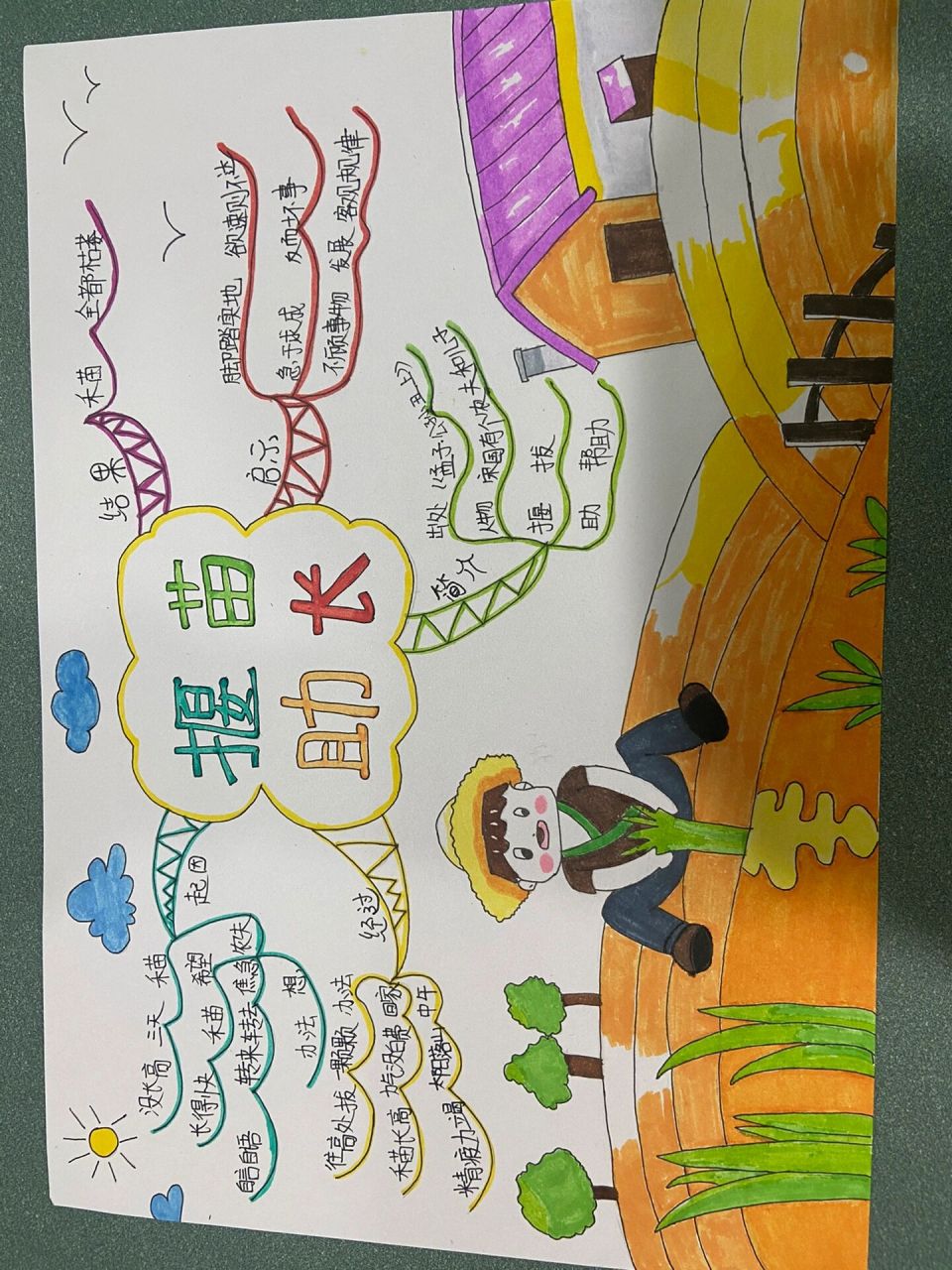 《揠苗助长》思维导图 一天一张,老母亲表示emmmmmm……………内心很