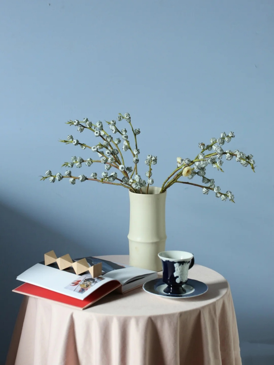 有腔调的尤加利果 宝藏推荐 尤加利(桉树)eucalyptus: 桃金娘科,主要