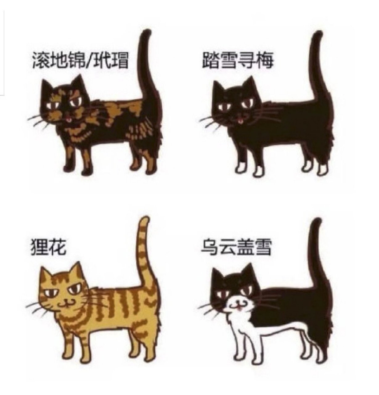 你知道猫咪在古代的雅称都叫什么吗 你知道古代的不同花色的小猫咪都