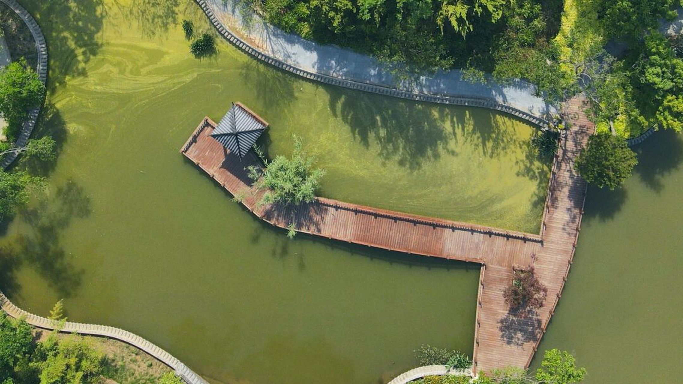 5亿元,经过几年的精心打造,朴园已经建成了龙凤呈祥,朴树观光带,紫薇