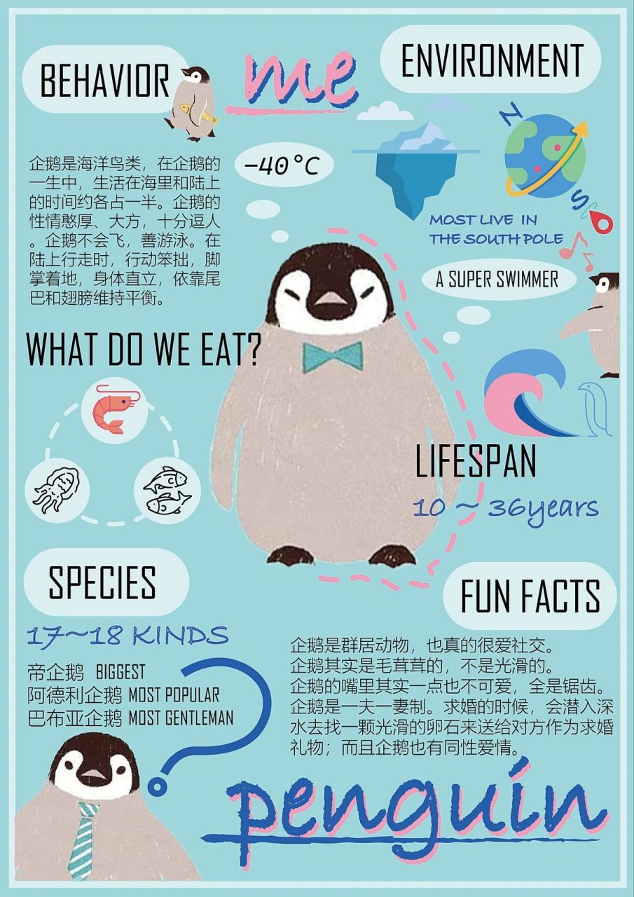 企鹅93的特征 作品练习